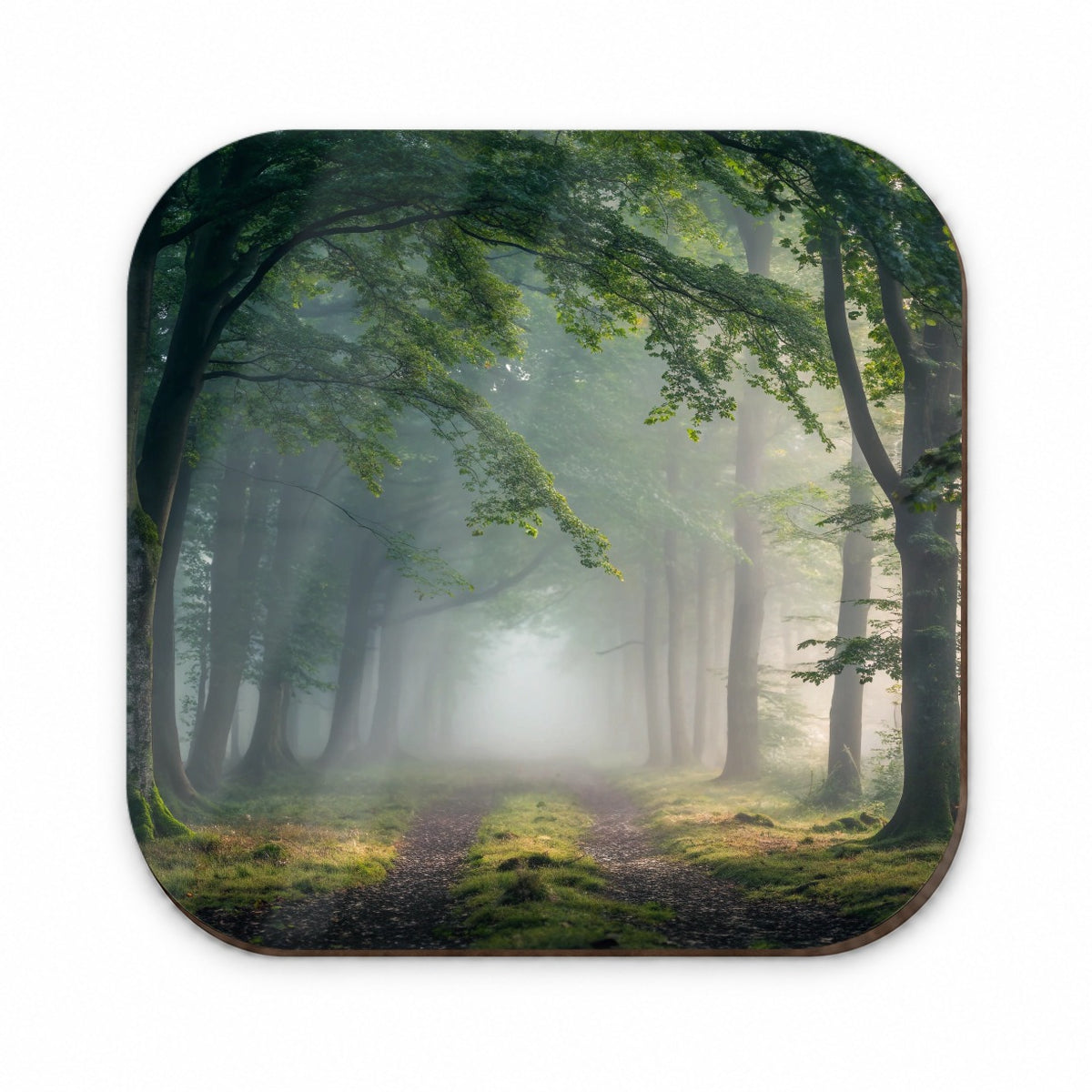 Forest Fog Morning Trail Fridge Magnet