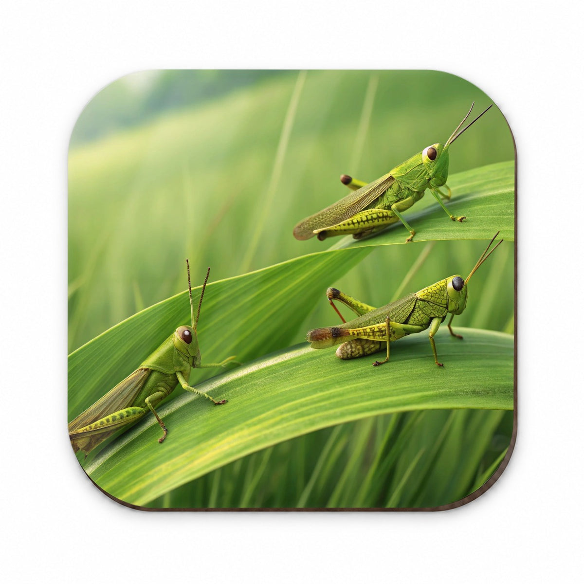 Grasshoppers On Grass Fridge Magnet