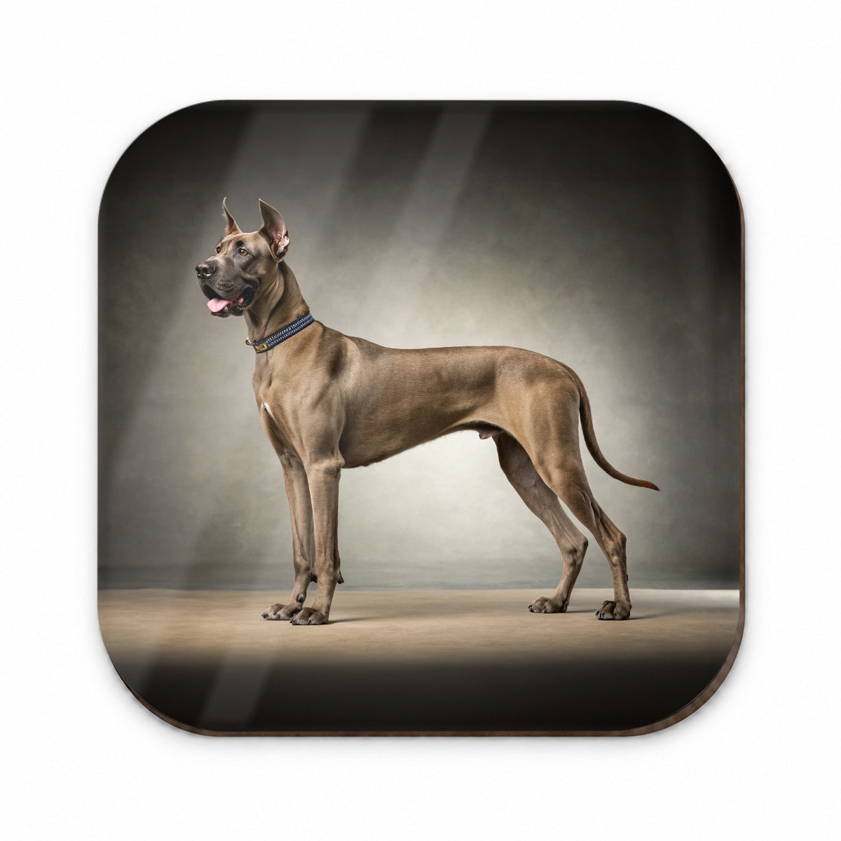 Great Dane Standing Photo Fridge Magnet