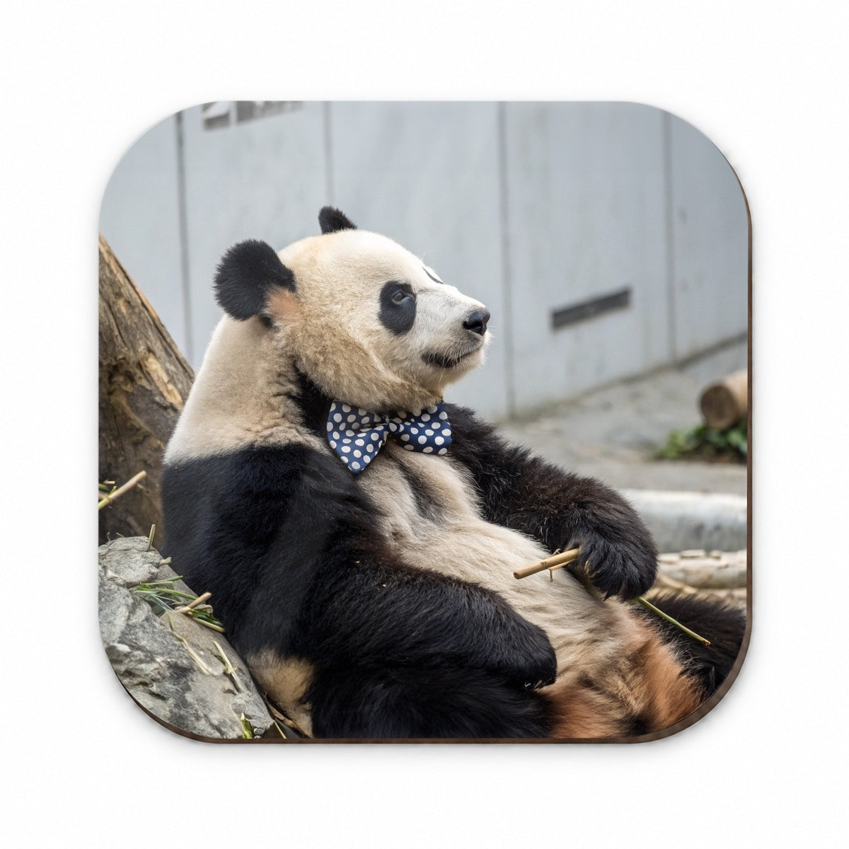 Panda Wearing Bow Tie Fridge Magnet