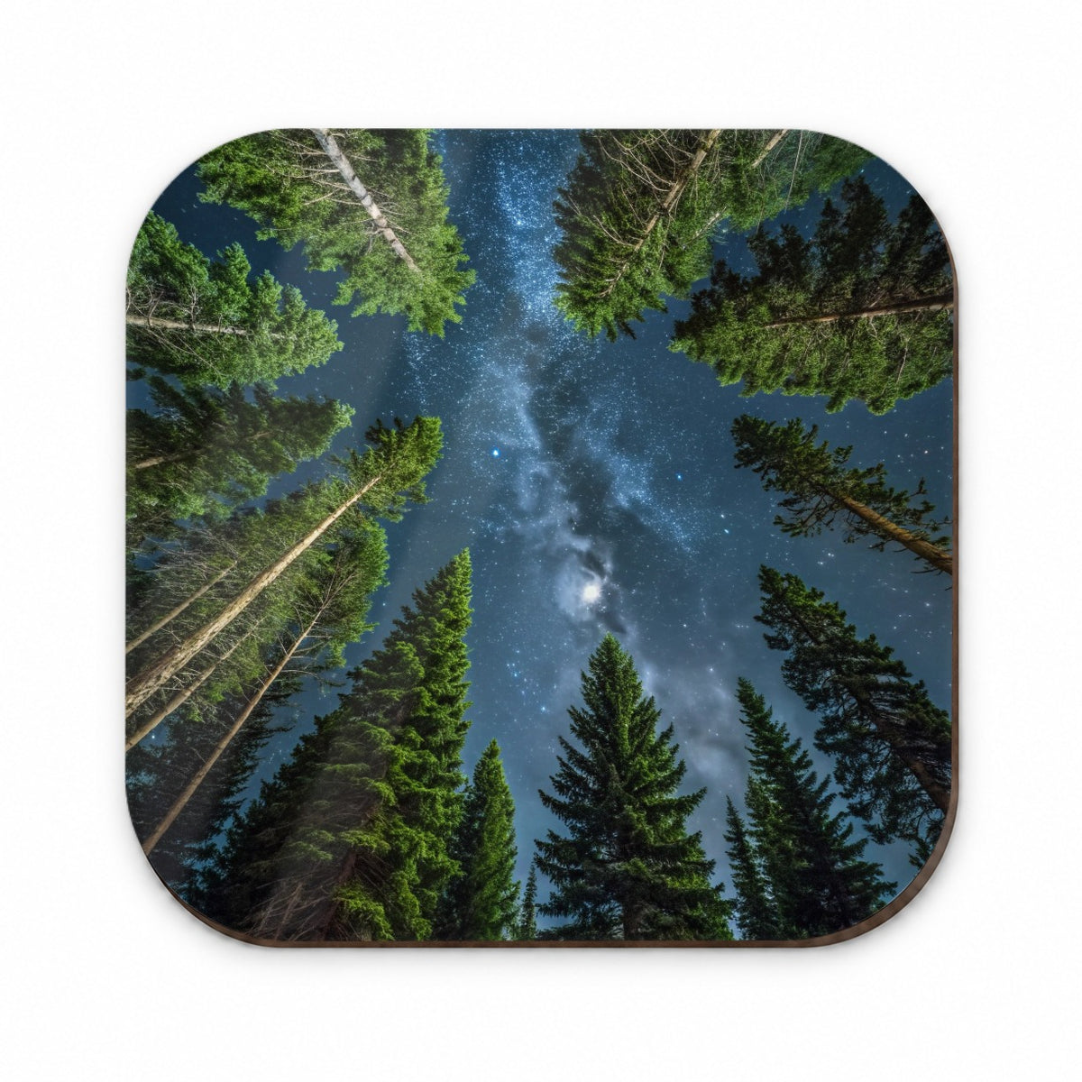 Pine Trees Looking Up Star Packed Sky Fridge Magnet