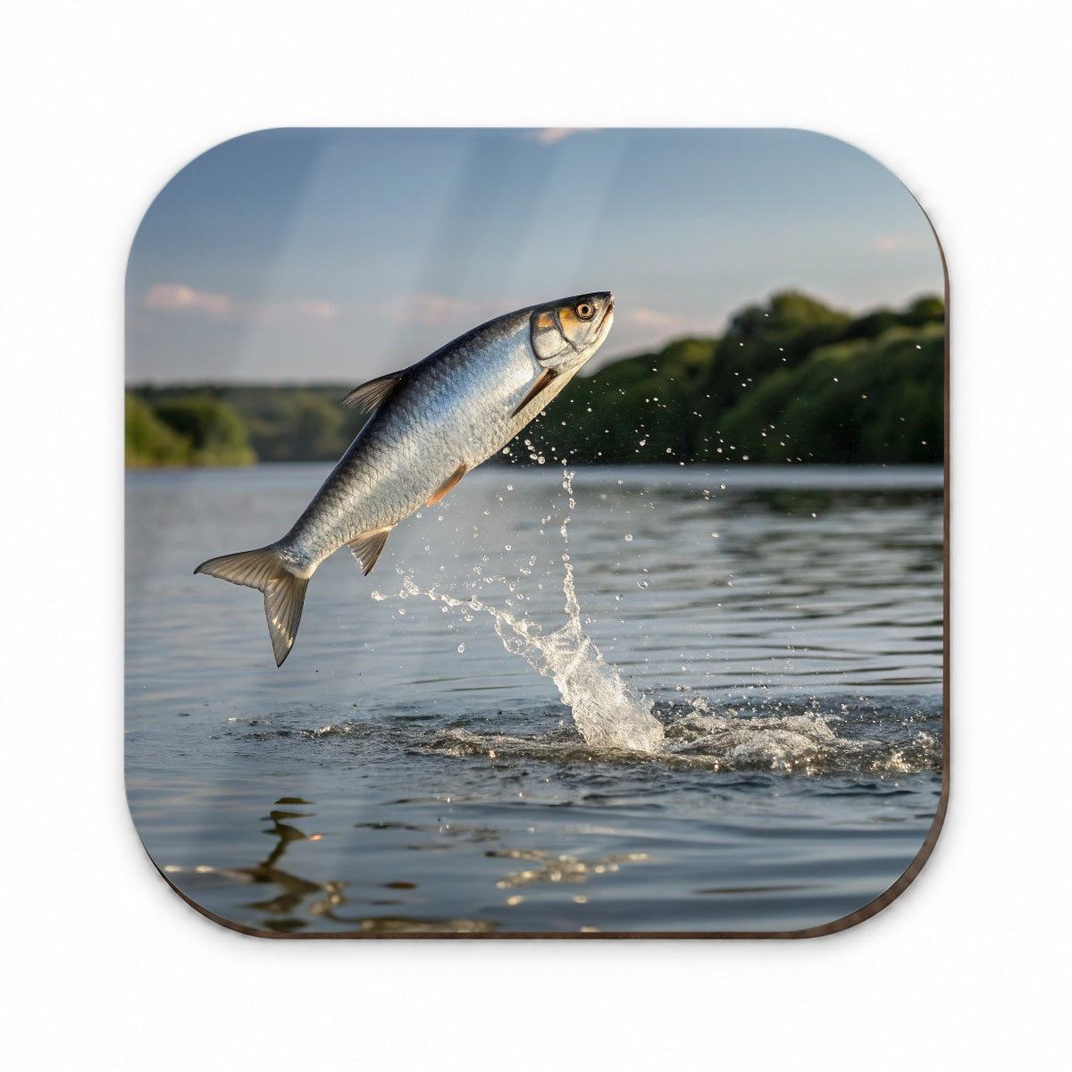 Shad Fish Jumping Fishing Fridge Magnet