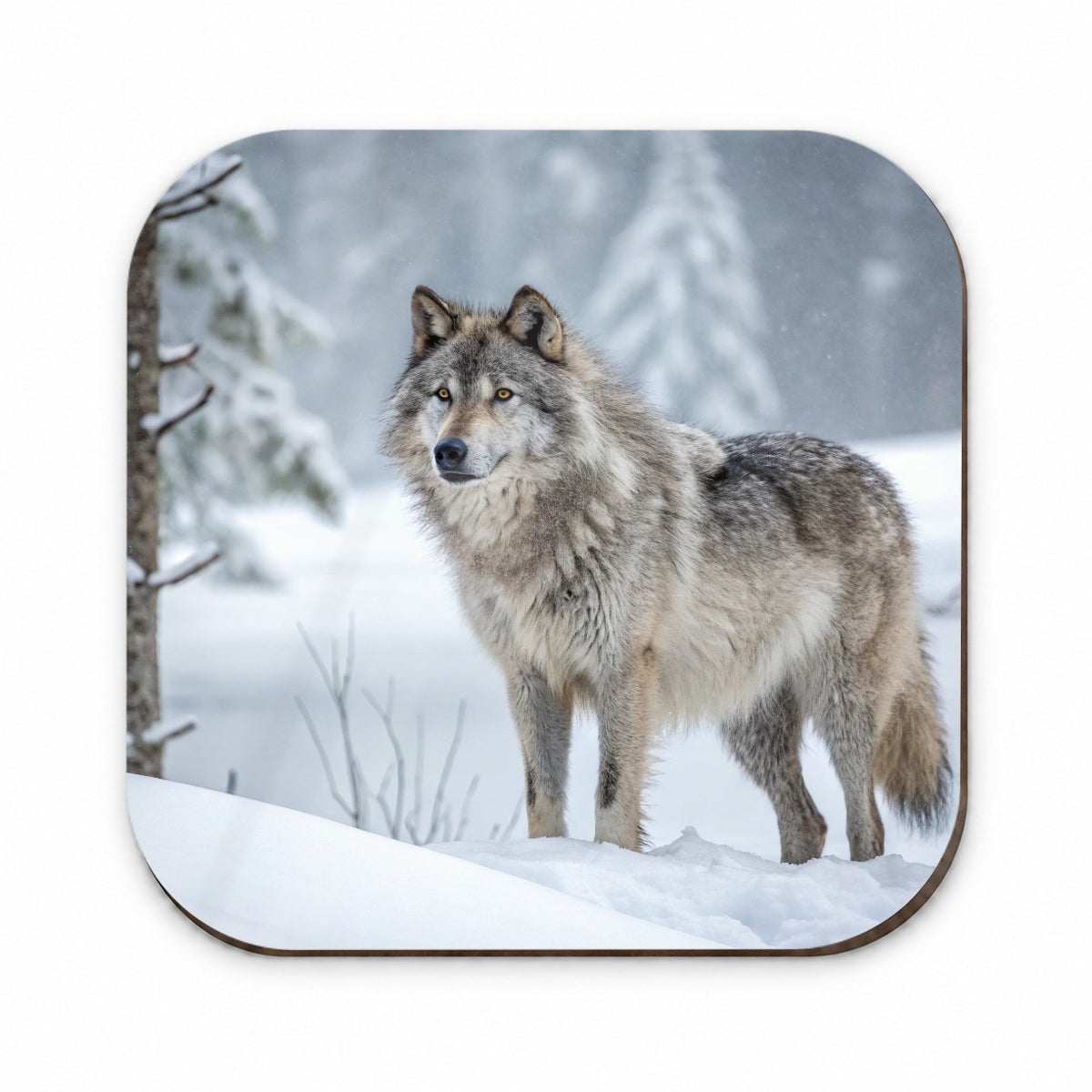 Wolf In Snow Scene Stunning Fridge Magnet