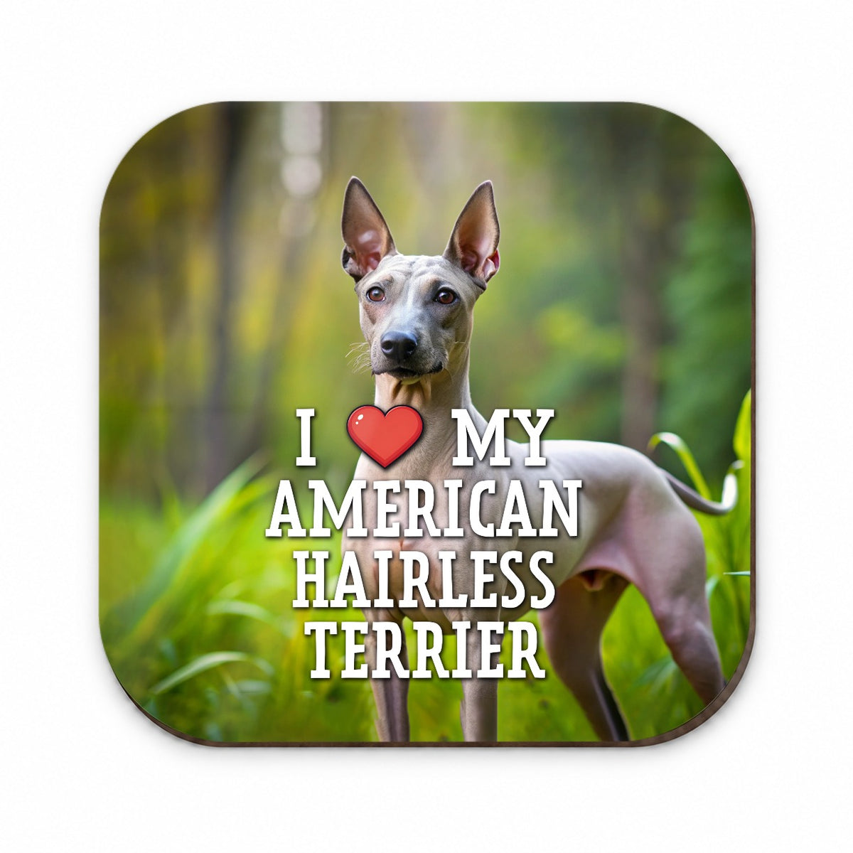 I Love My American Hairless Terrier Dog Heart Fridge Magnet