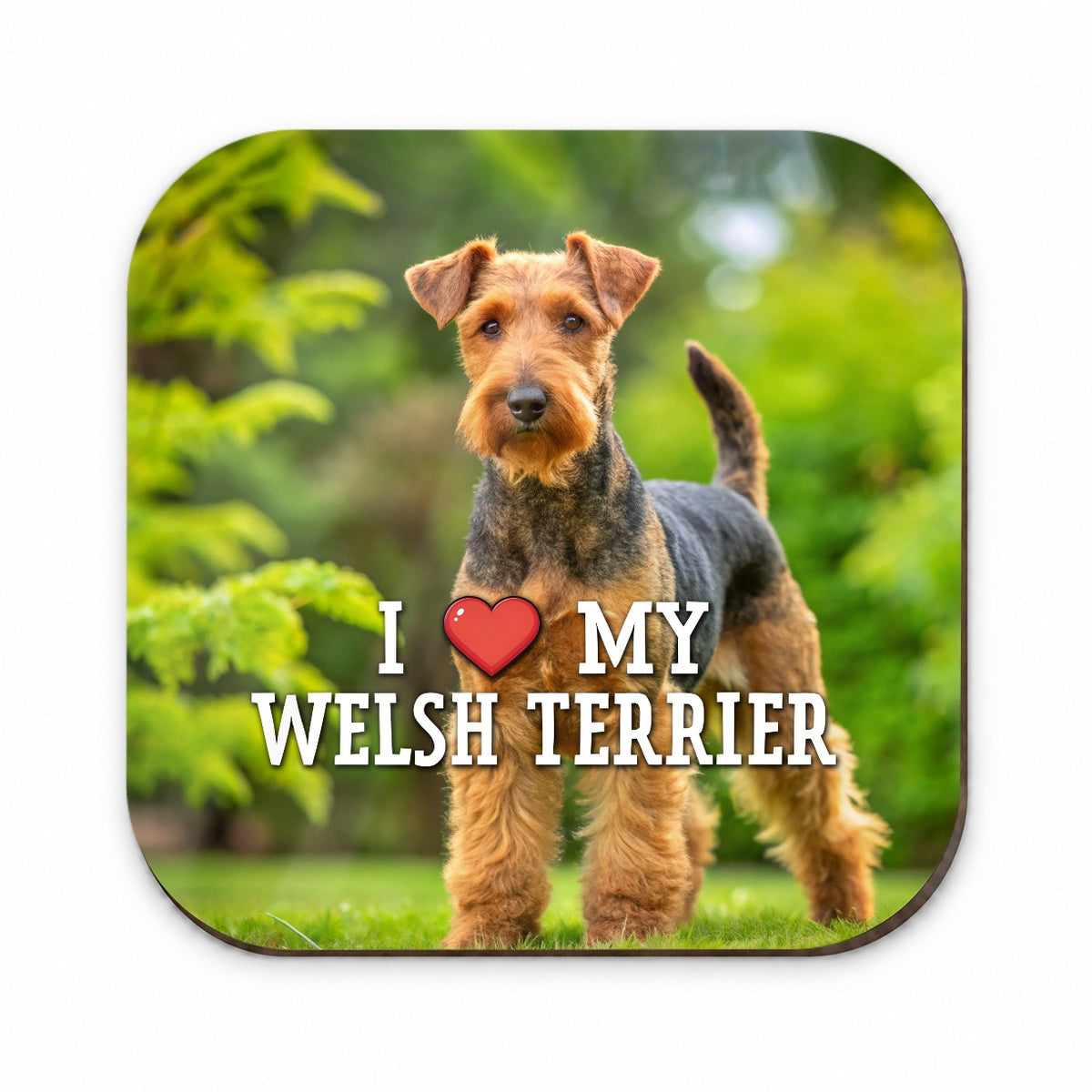 I Love My Welsh Terrier Dog Heart Fridge Magnet