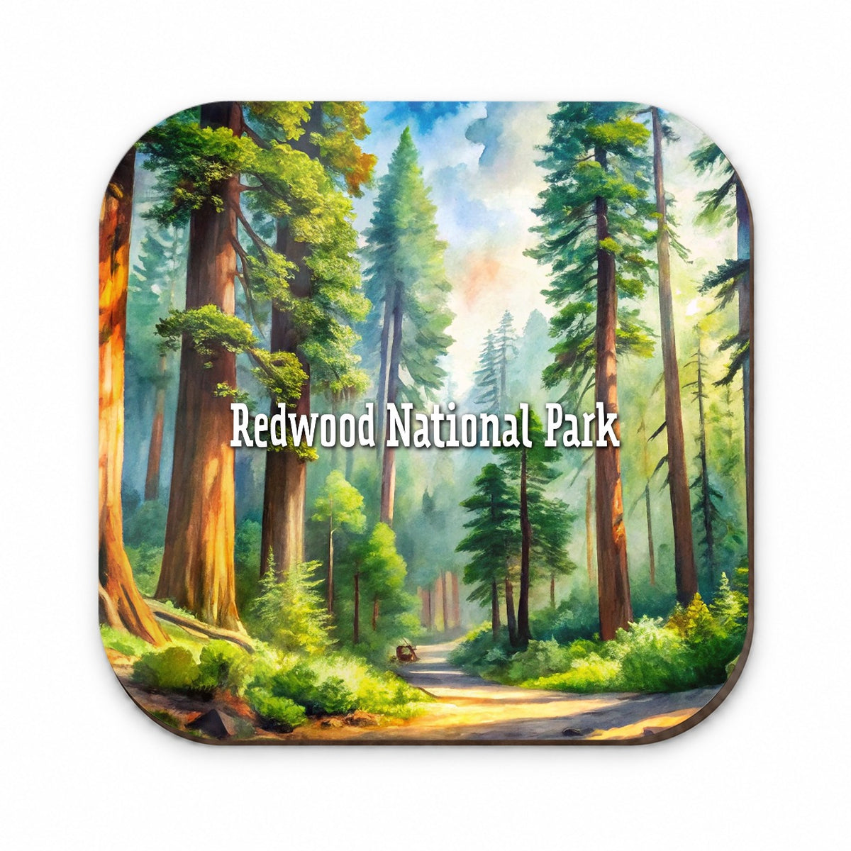 Redwood National Park California Fridge Magnet