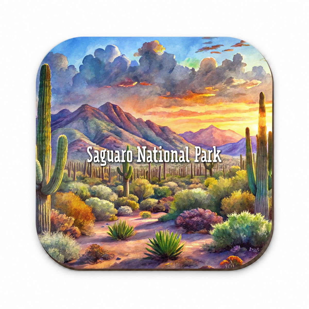 Saguaro National Park Arizona Fridge Magnet