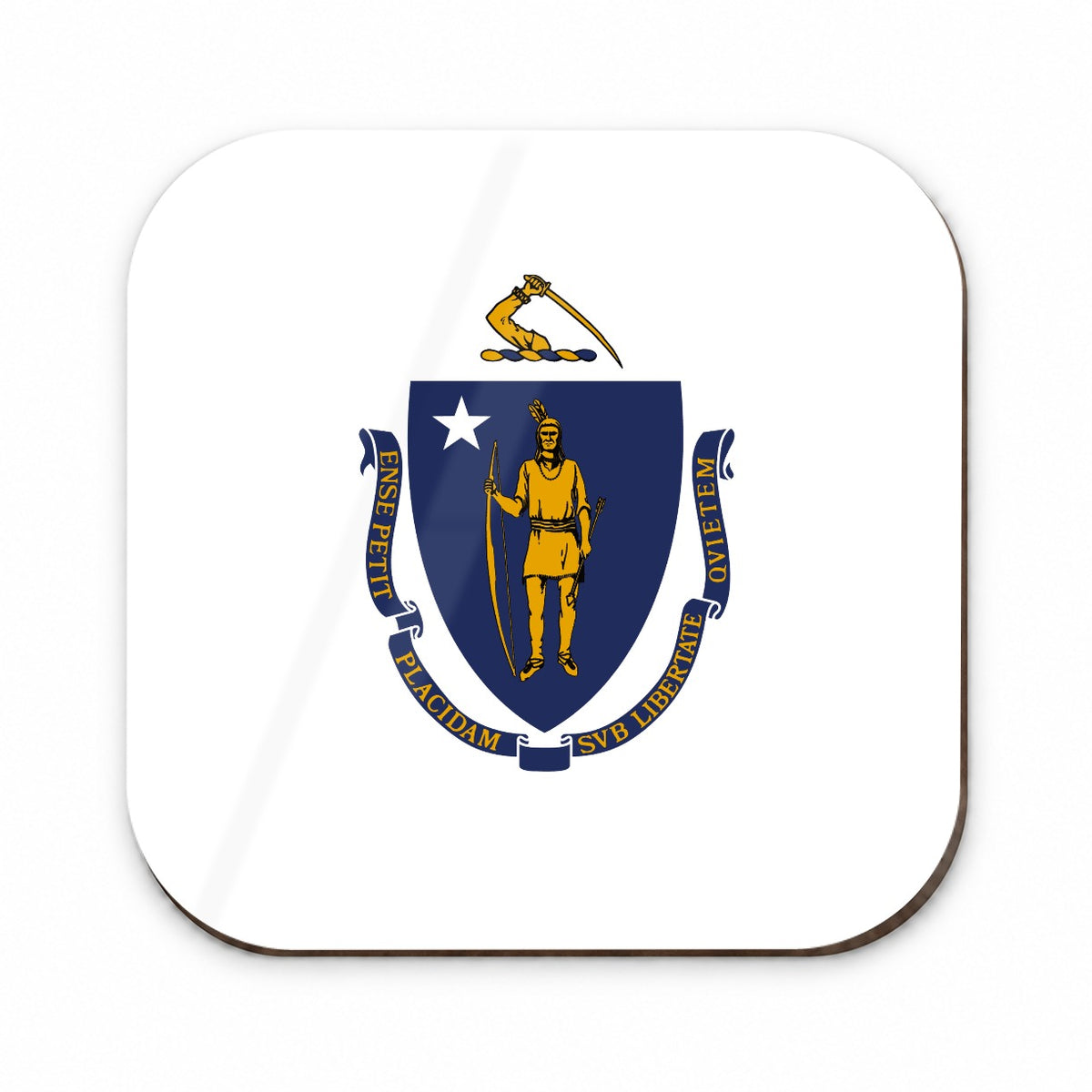 Massachusetts MA State Flag Fridge Magnet