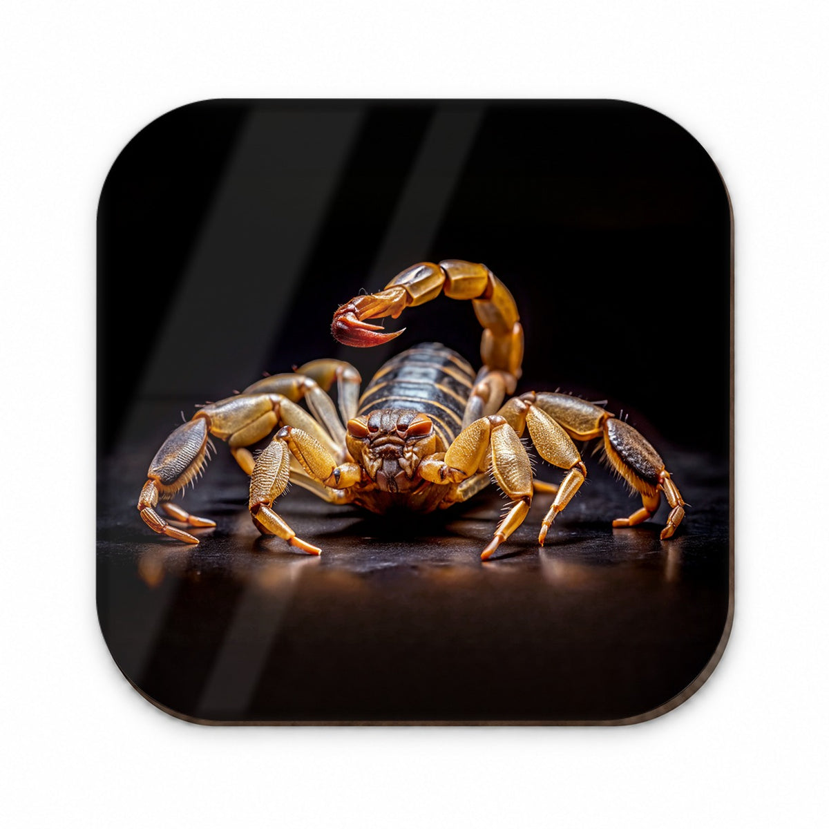 Angry Scorpion Black Background Fridge Magnet