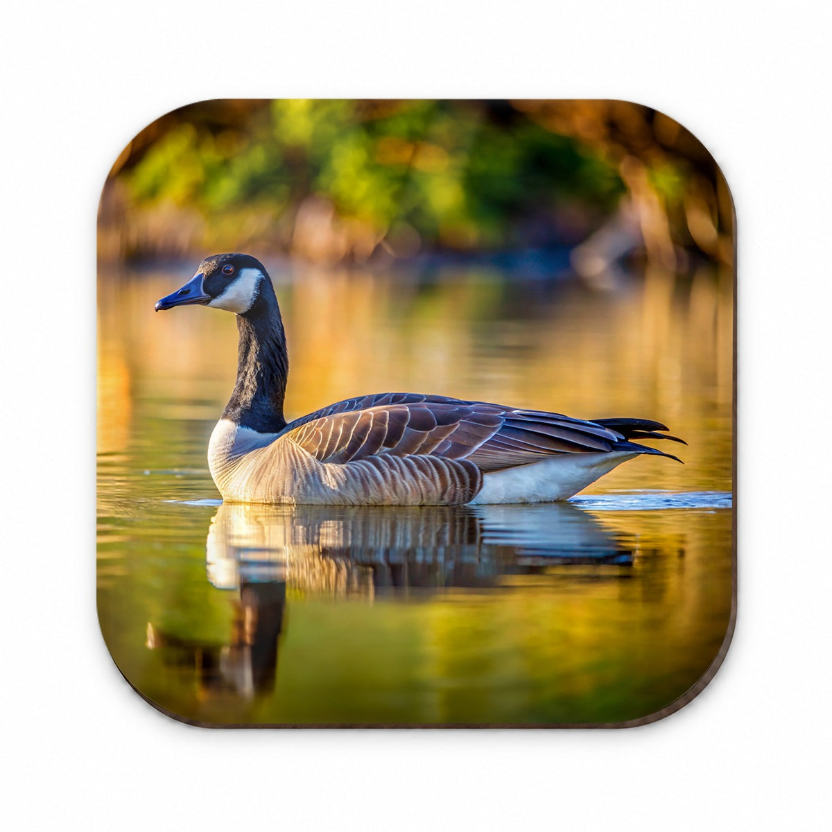 Canada Canadian Goose on Lake Fridge Magnet