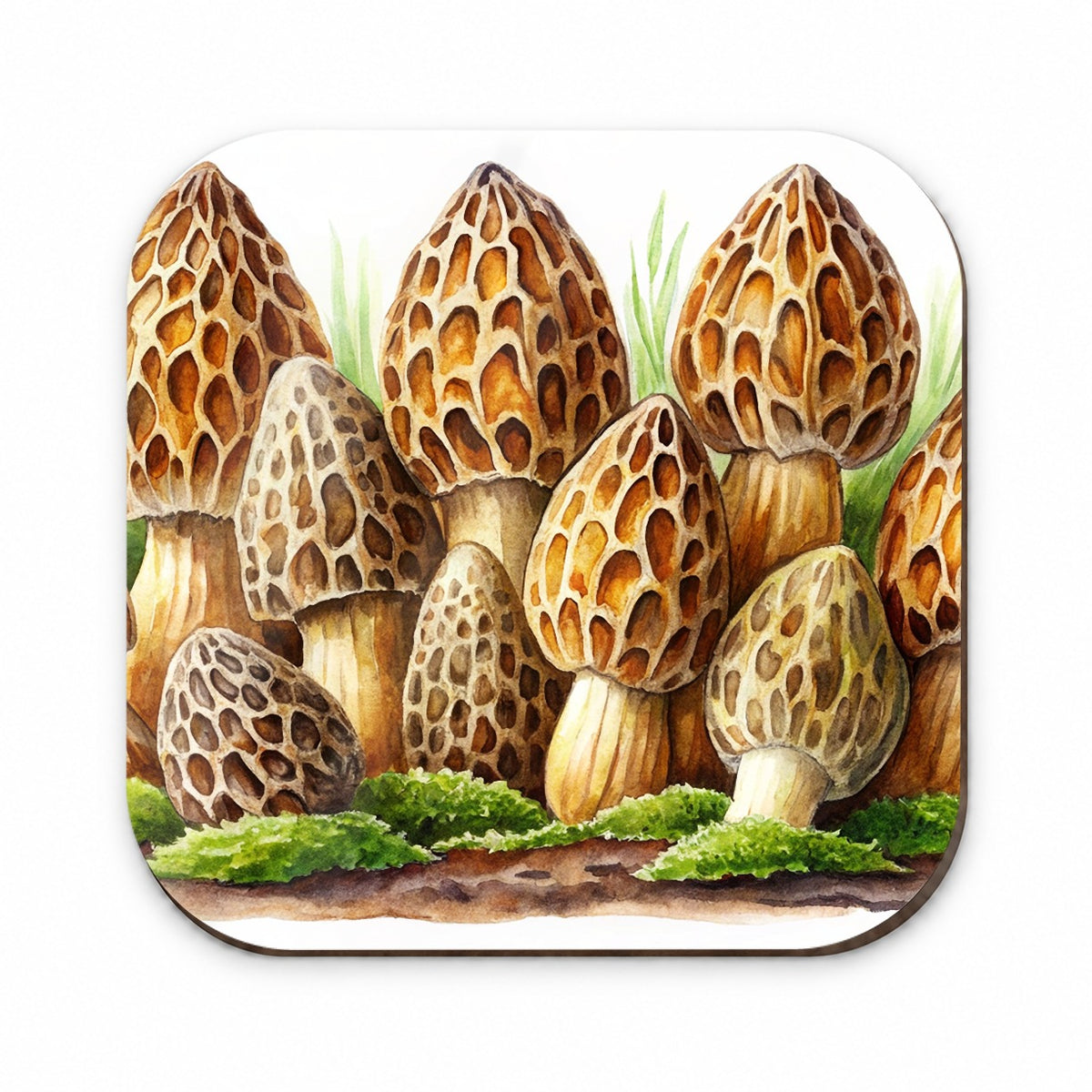 Morel Mushrooms Morchella Watercolor Fridge Magnet