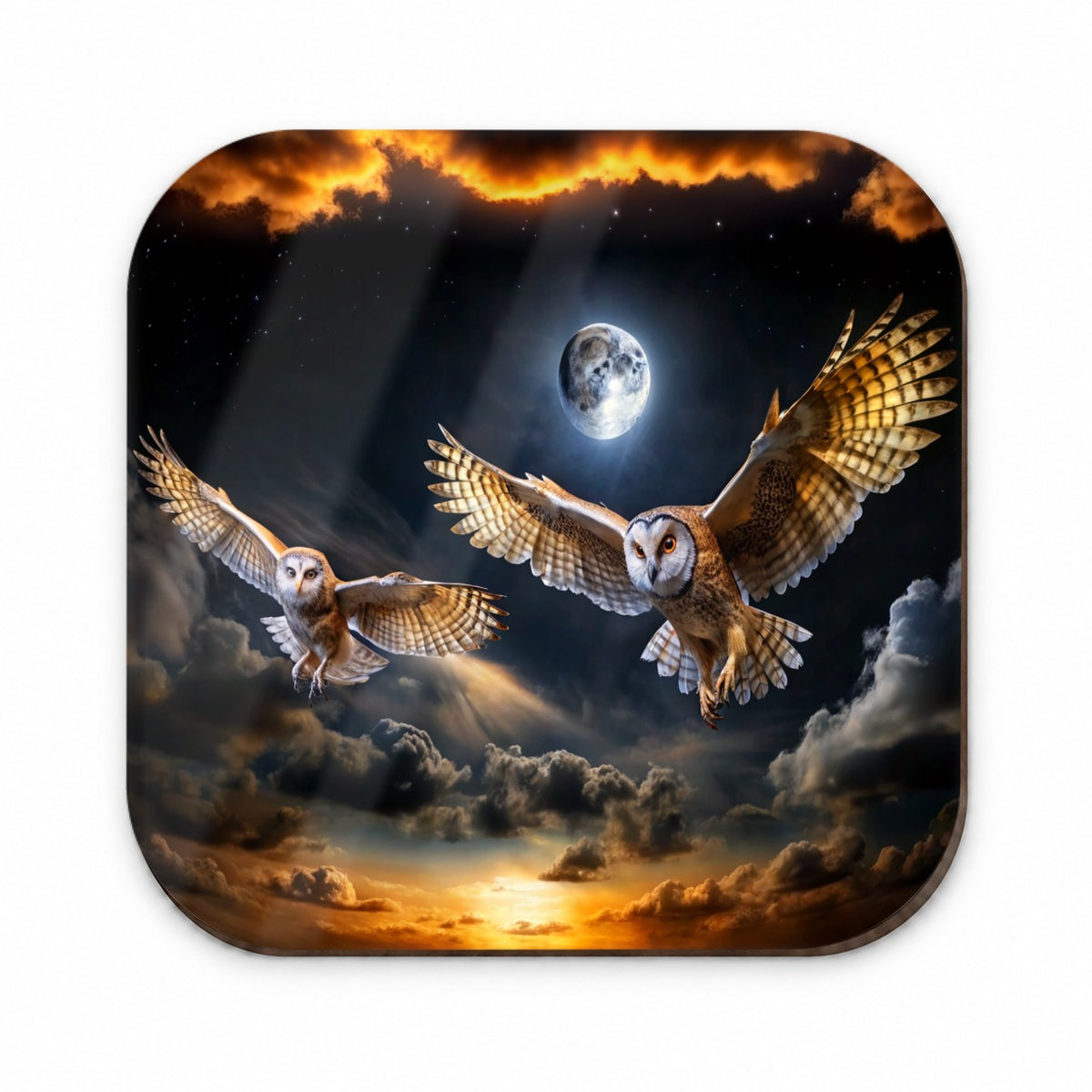 Barn Owls Flying At Night Fridge Magnet