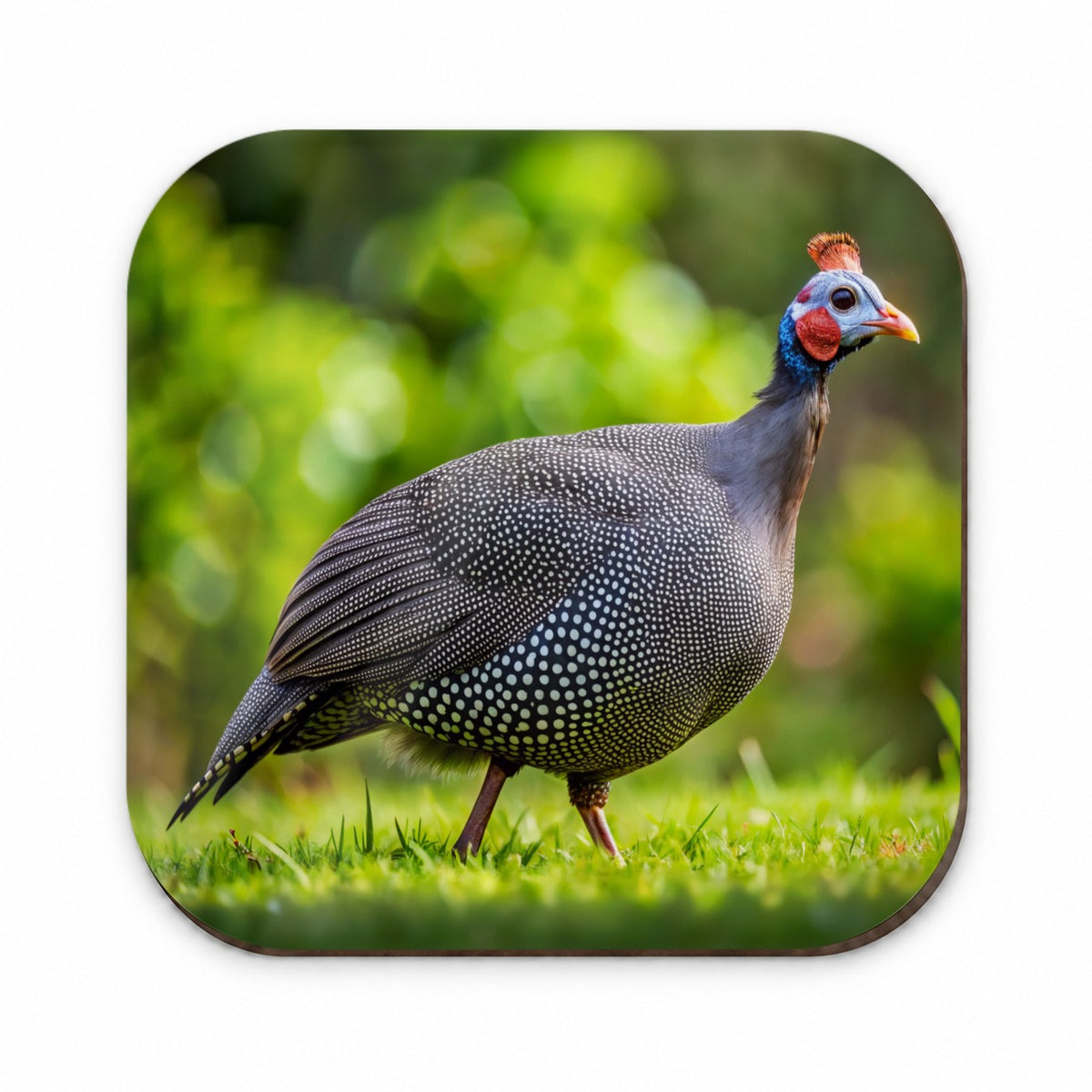 Guinea Fowl Photograph Fridge Magnet