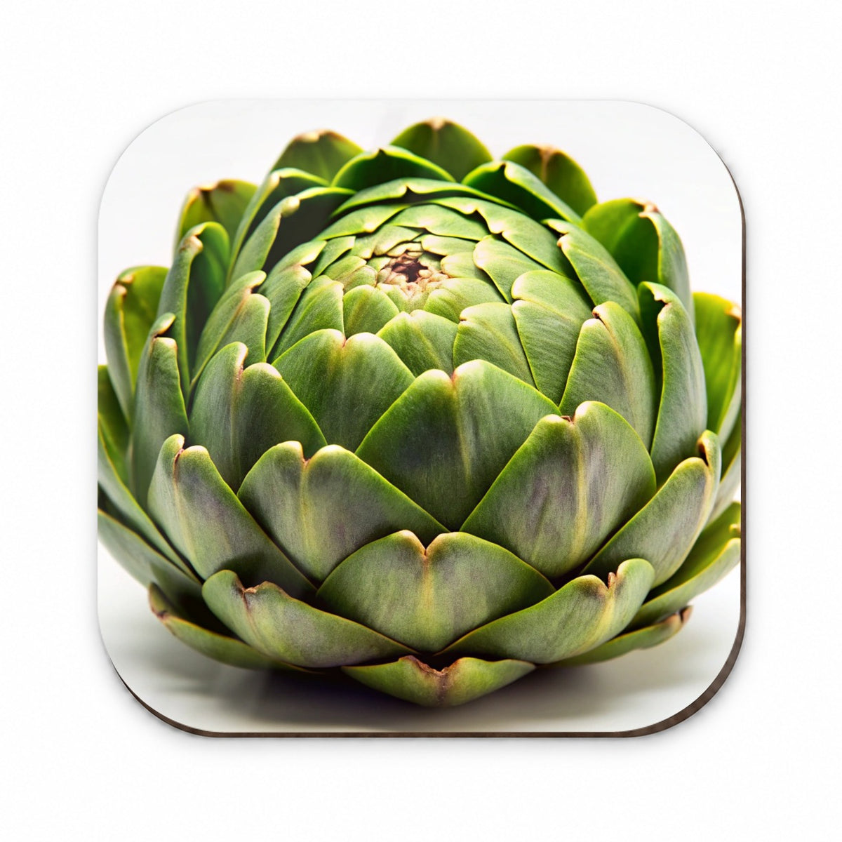 Artichoke Vegetable Photo Fridge Magnet