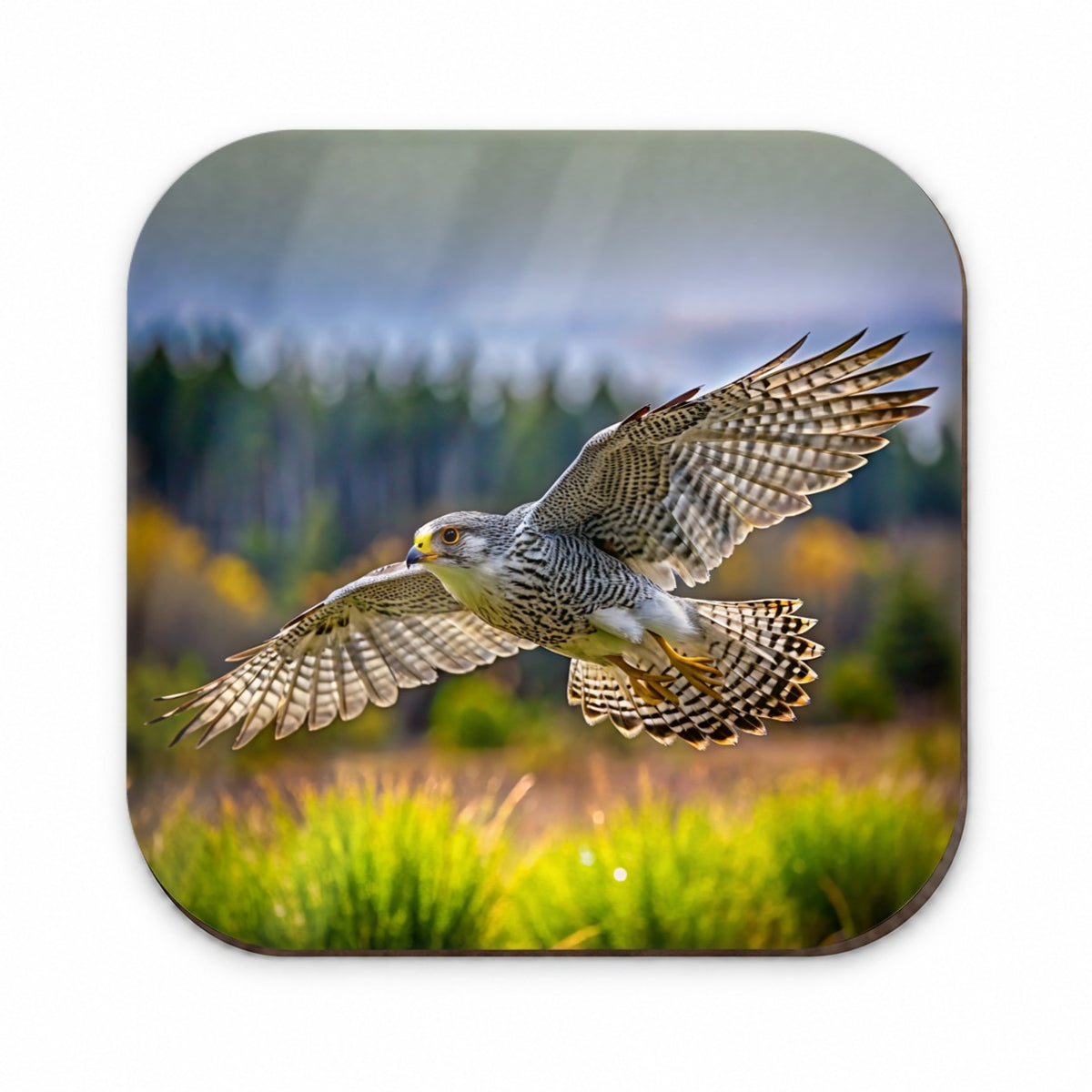 Gyrfalcon Raptor in Flight Fridge Magnet