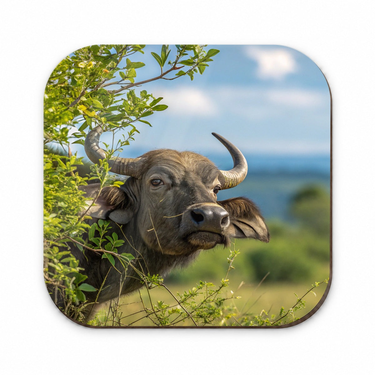 African Buffalo Safari Wildlife Fridge Magnet