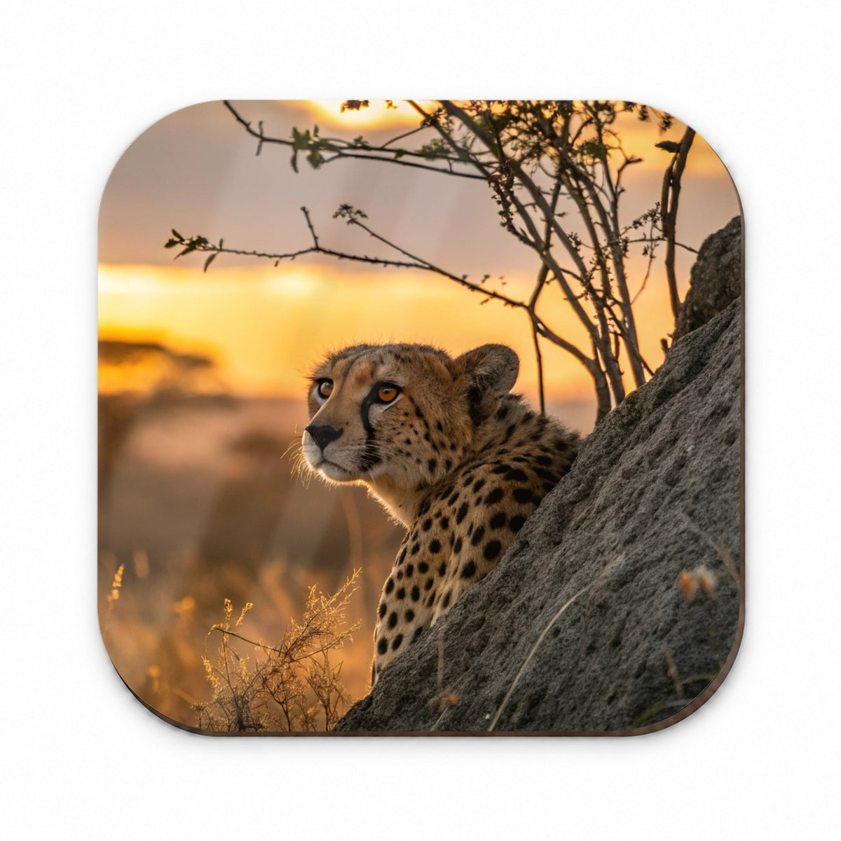 African Cheetah Safari Sunset Fridge Magnet