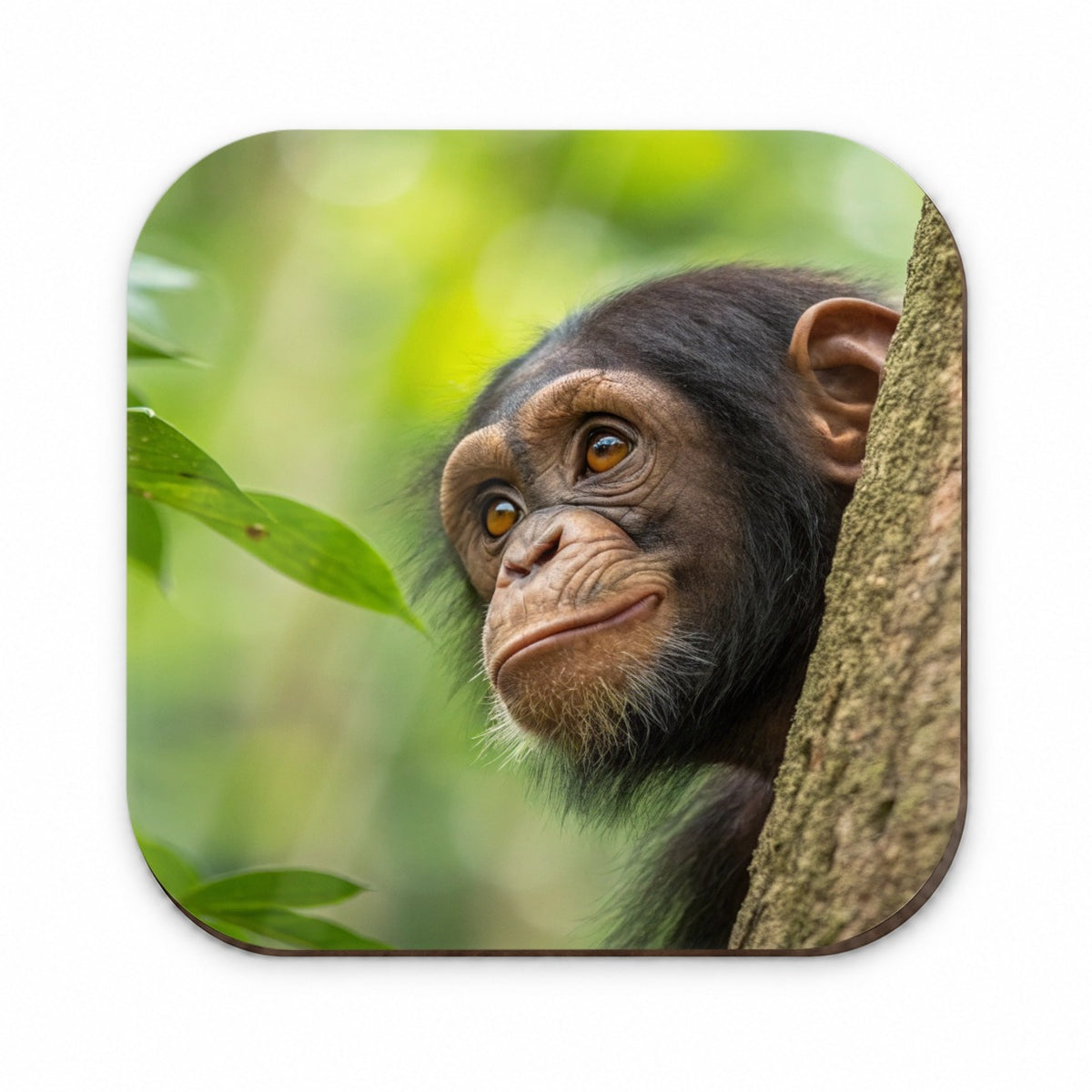 African Chimpanzee Safari Wildlife Fridge Magnet