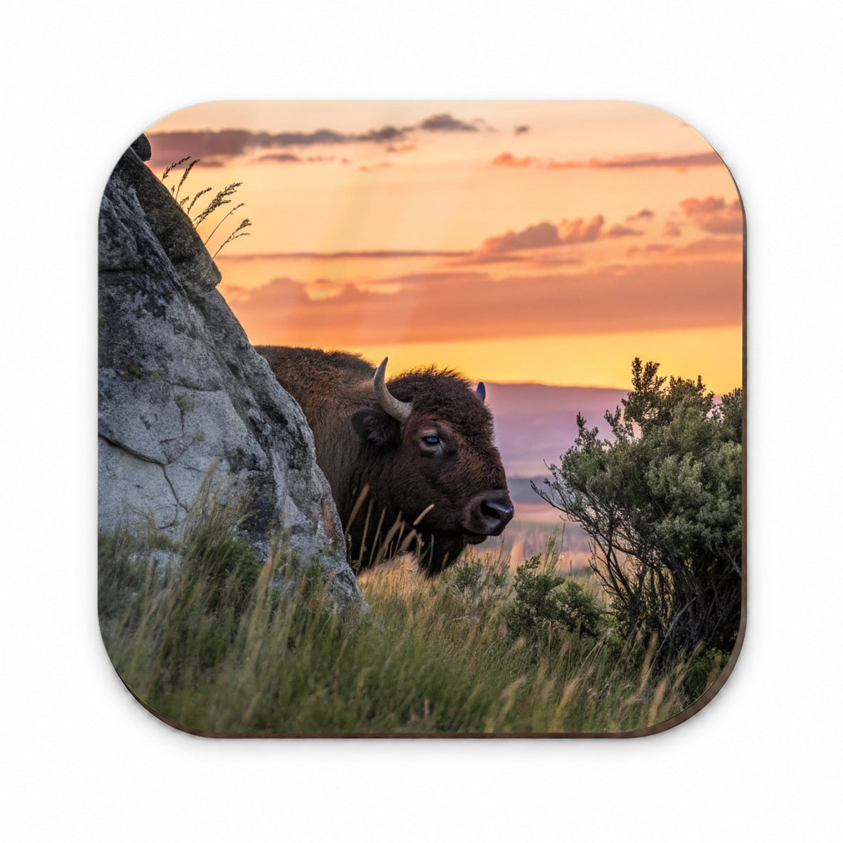 Bison Wildlife At Sunset Fridge Magnet