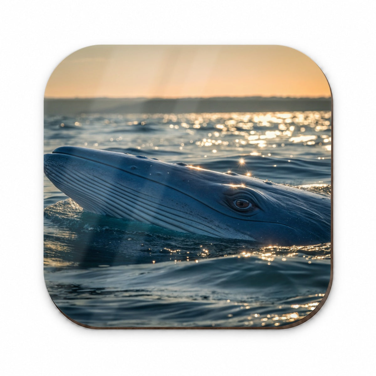 Blue Whale Ocean Wildlife Fridge Magnet