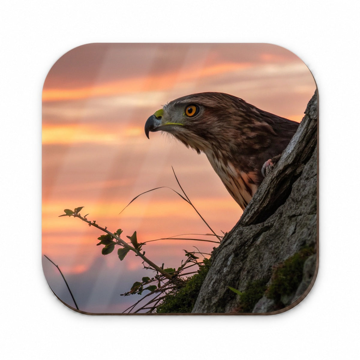 Buzzard Bird At Sunset Fridge Magnet