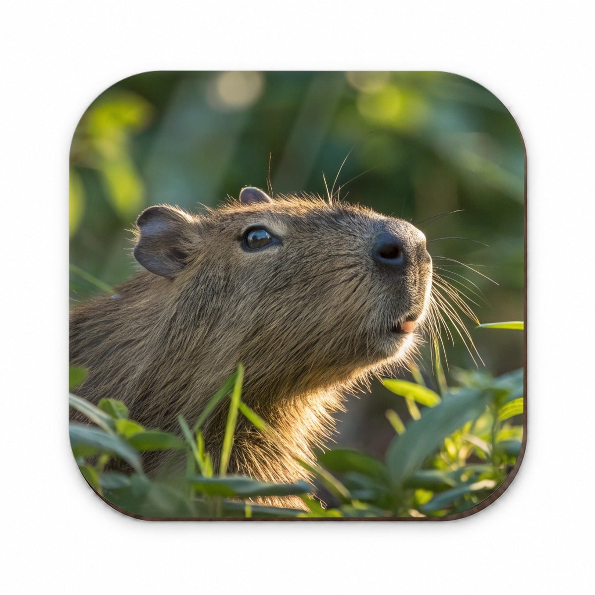 Capybara Wildlife Nature Scene Fridge Magnet