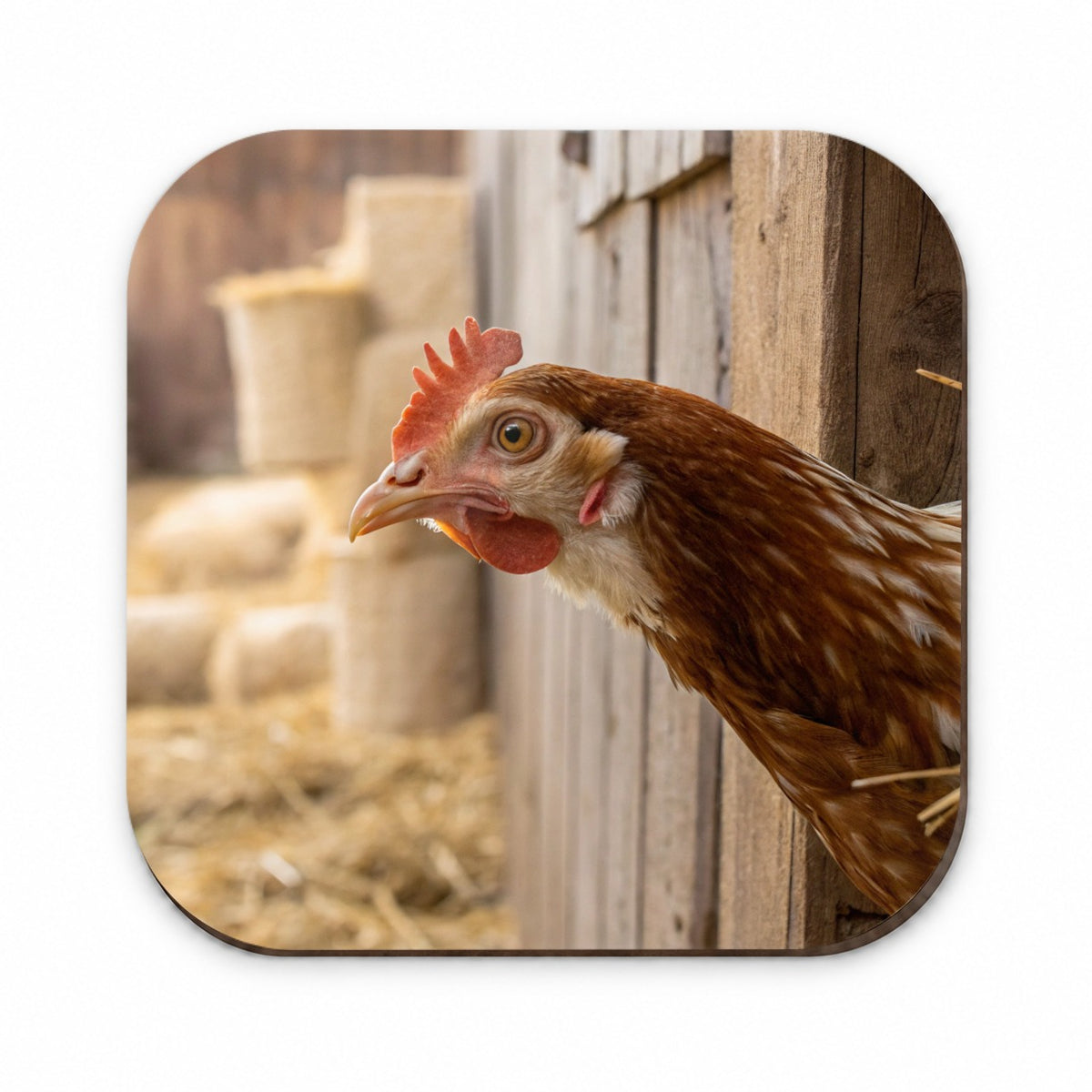 Chicken Barnyard Farm Life Fridge Magnet