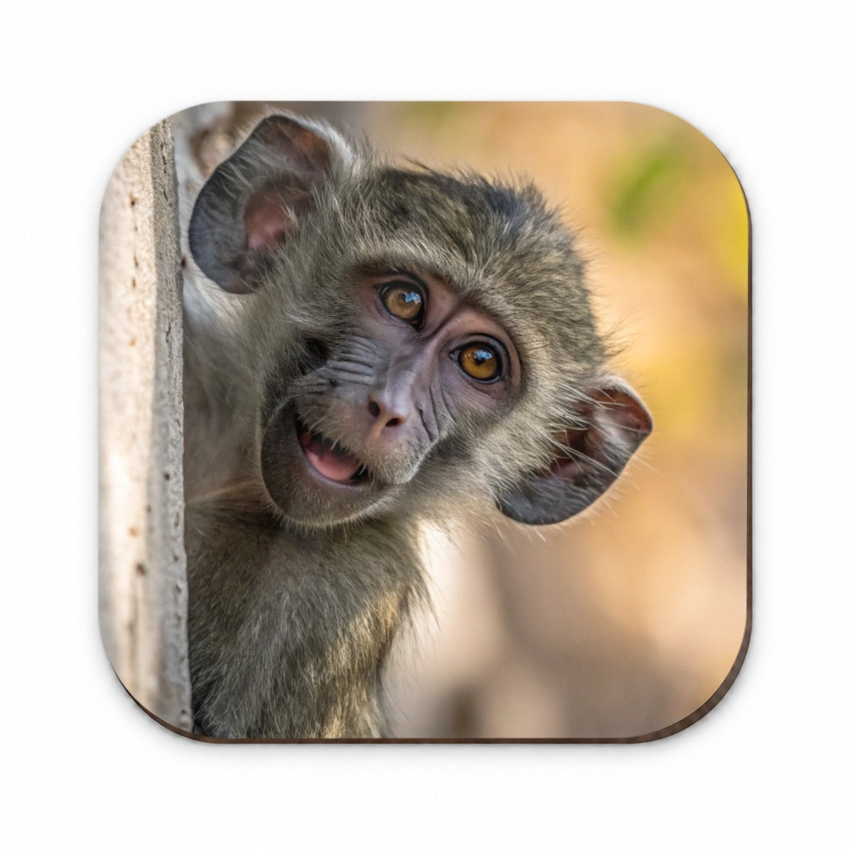 Curious Baboon Wildlife Nature Fridge Magnet