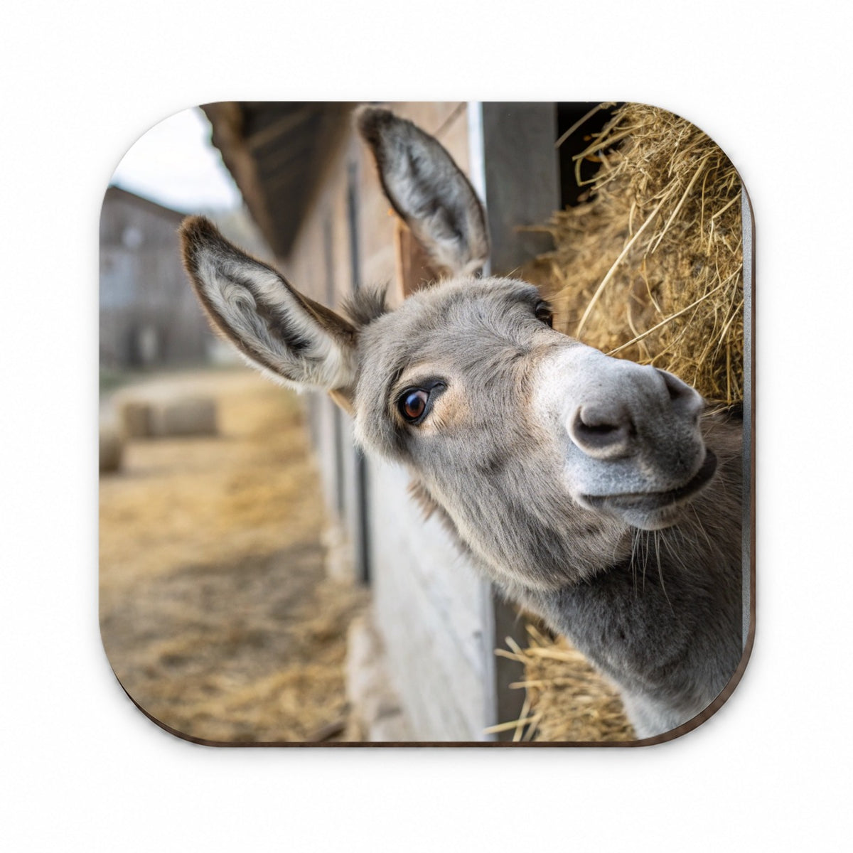 Curious Donkey Farm Life Fridge Magnet