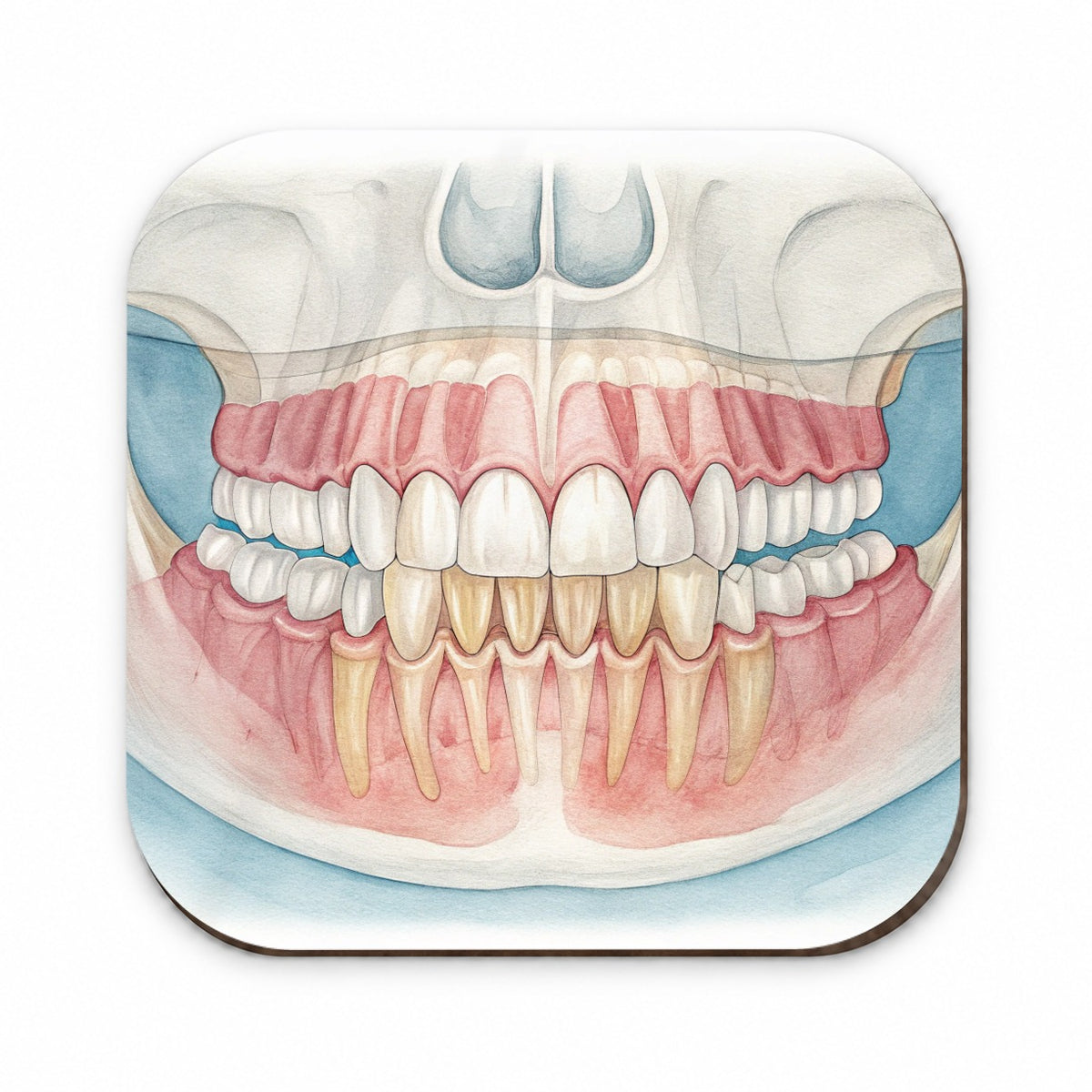 Dental X-Ray Teeth Dentist Fridge Magnet