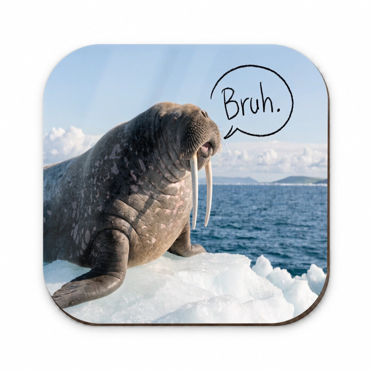 Walrus Saying Bruh Funny Fridge Magnet