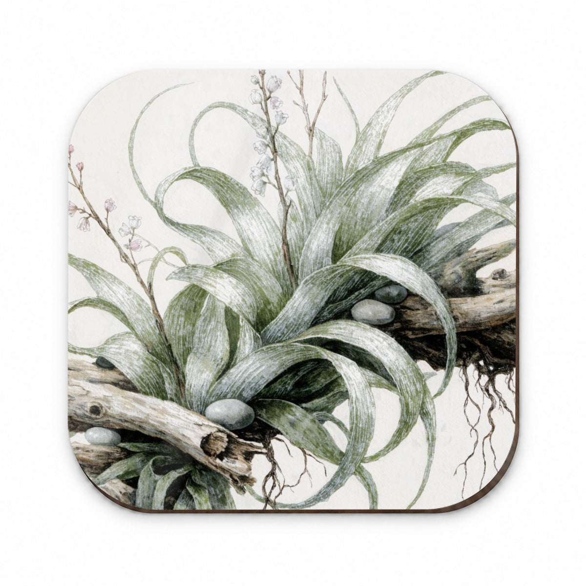Air Plant Botanical Collection Fridge Magnet