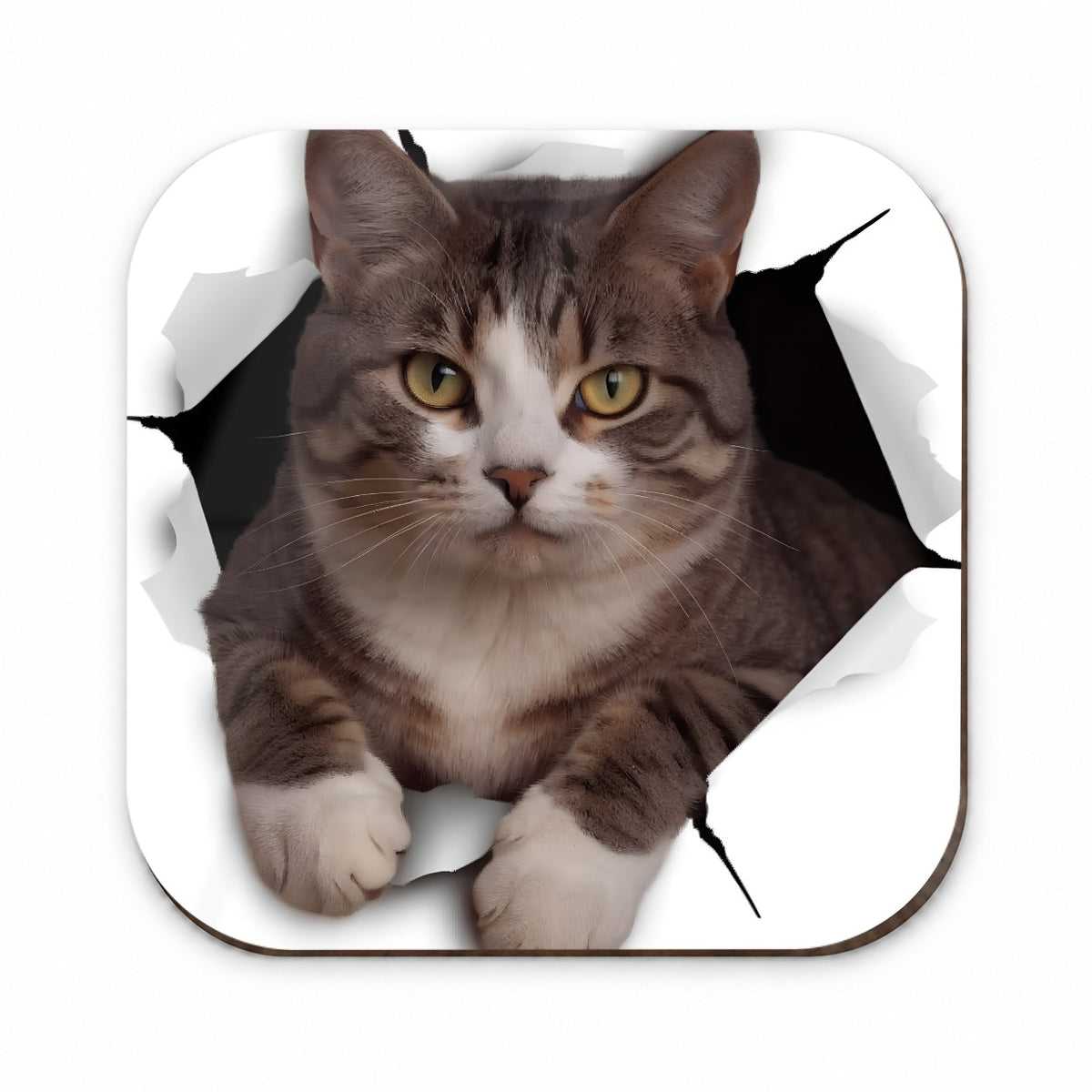 American Shorthaired Cat Breakout Fridge Magnet