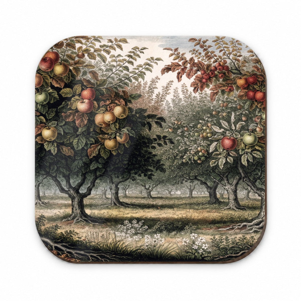 Apple Orchard Antique Drawing Fridge Magnet
