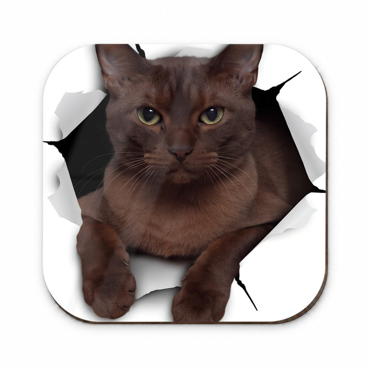 Burmese Cat Breakout Fridge Magnet