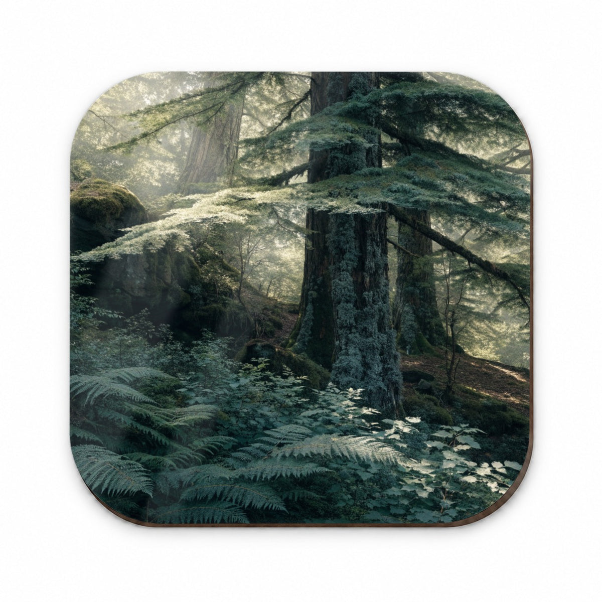 Cedar Woodland Forest Fridge Magnet