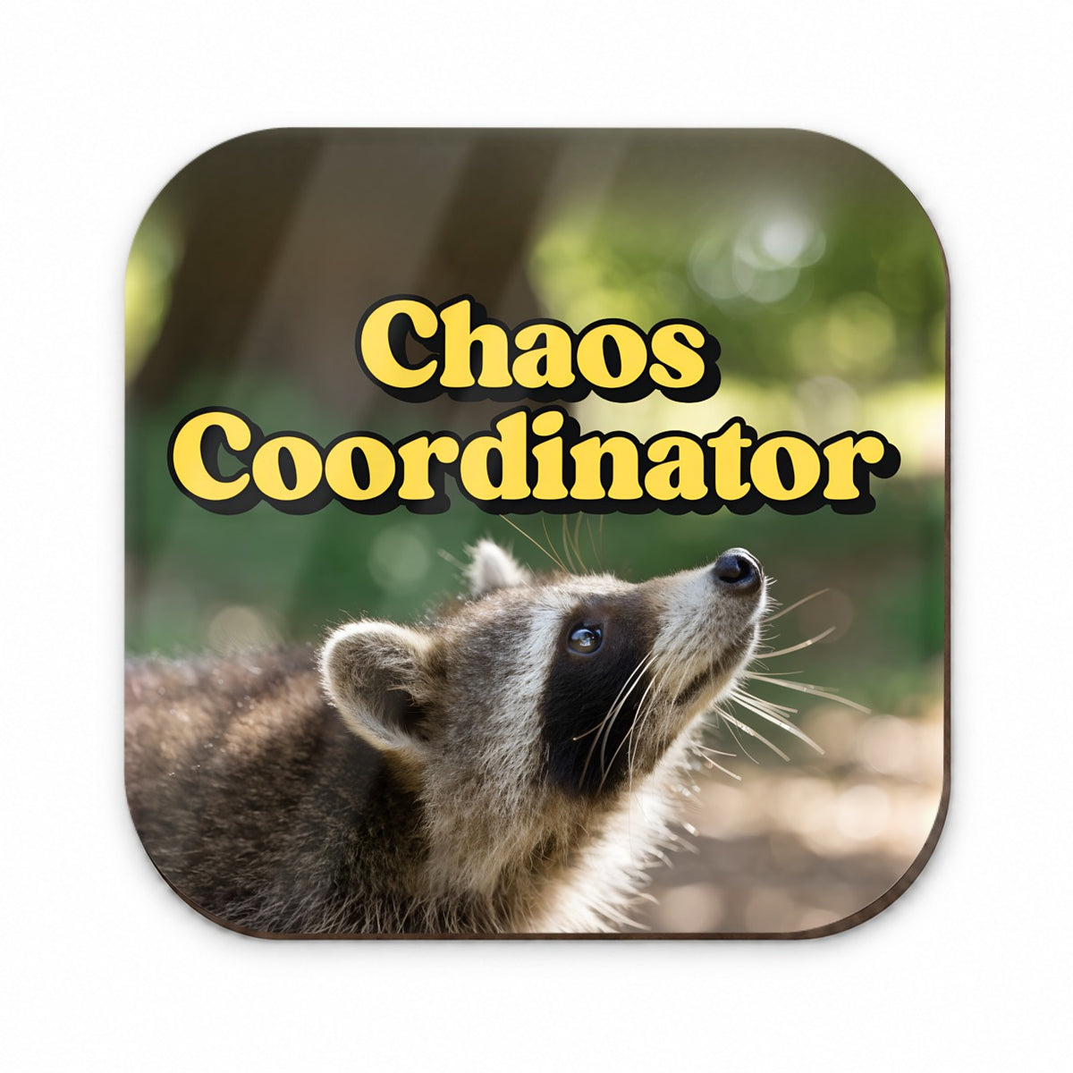 Chaos Coordinator Raccoon Funny Fridge Magnet