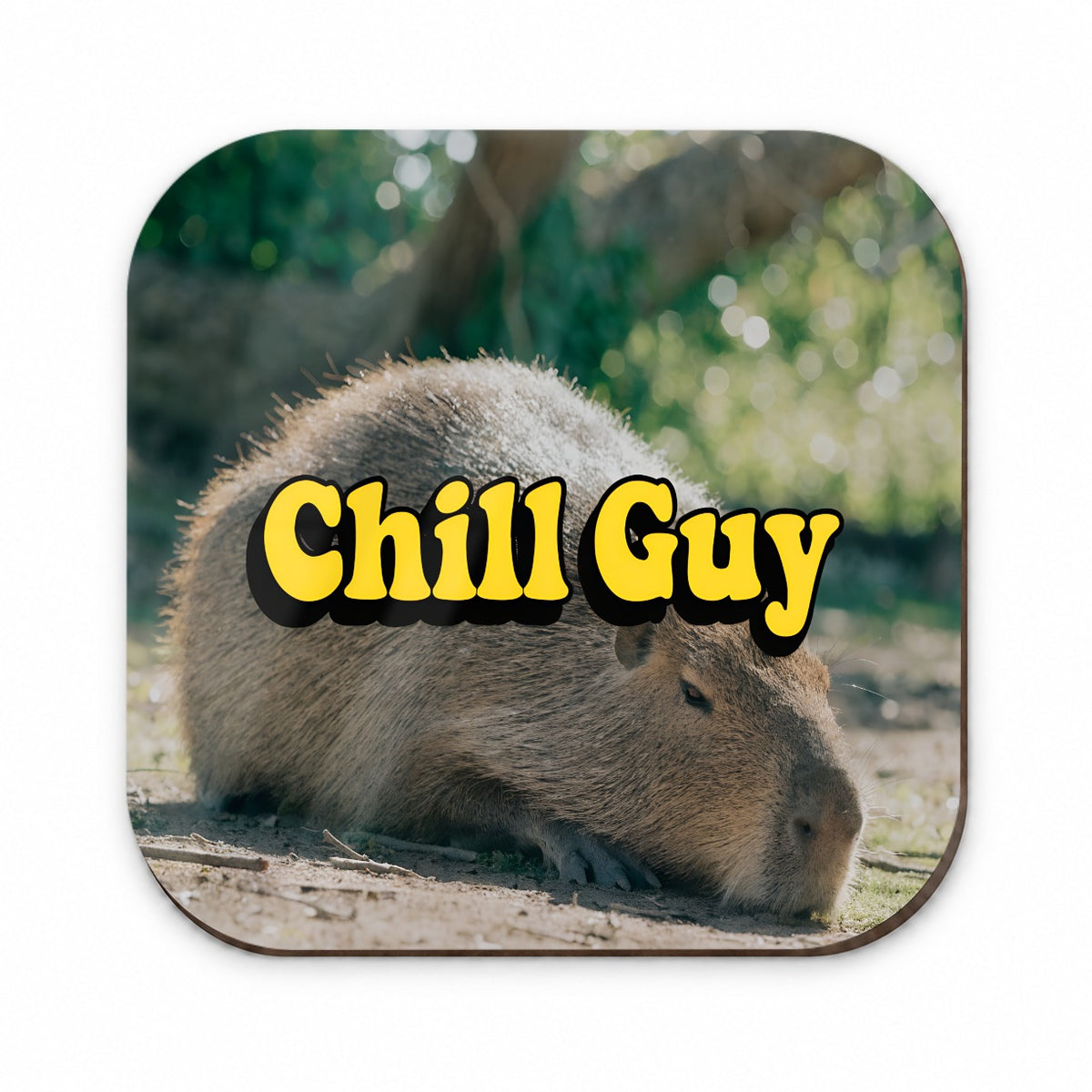 Chill Guy Capybara Funny Fridge Magnet