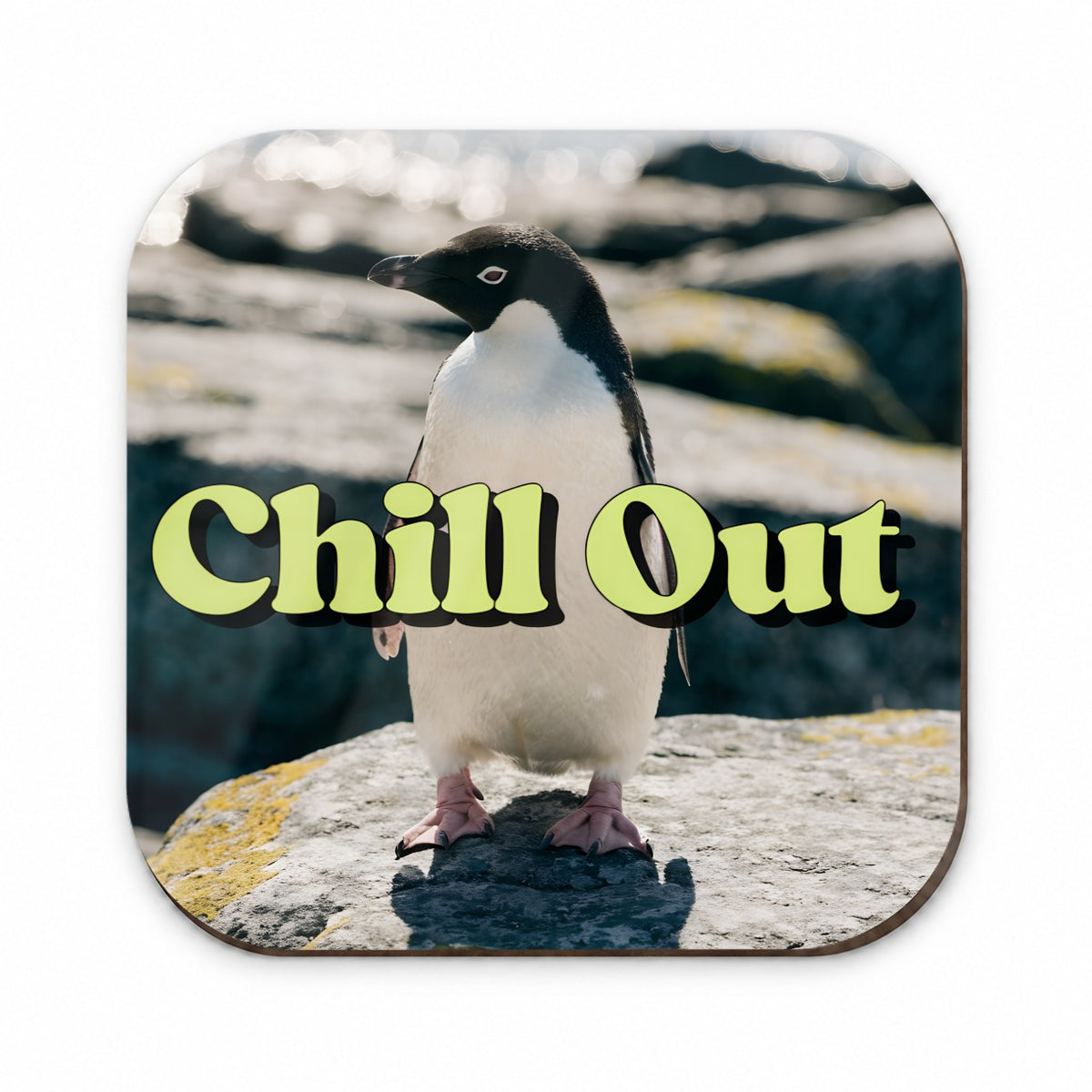 Chill Out Penguin Funny Fridge Magnet