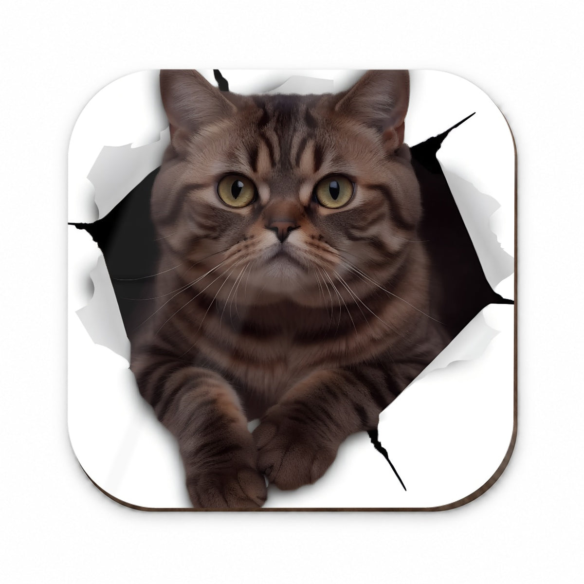 Exotic Shorthair Cat Breakout Fridge Magnet