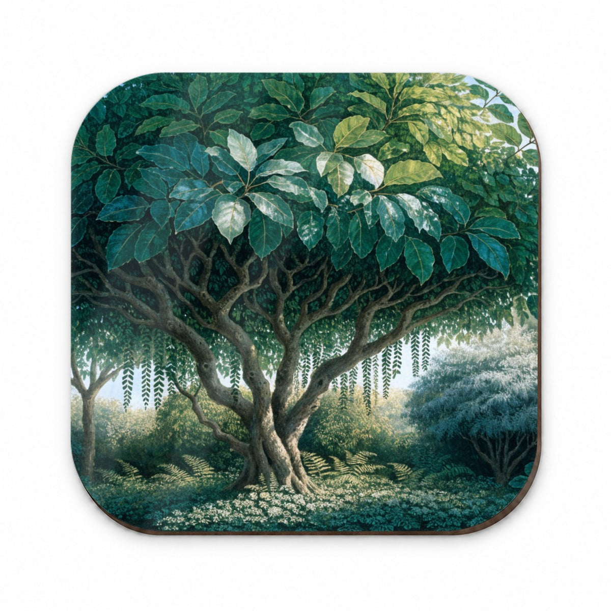 Ficus Tree Botanical Fridge Magnet