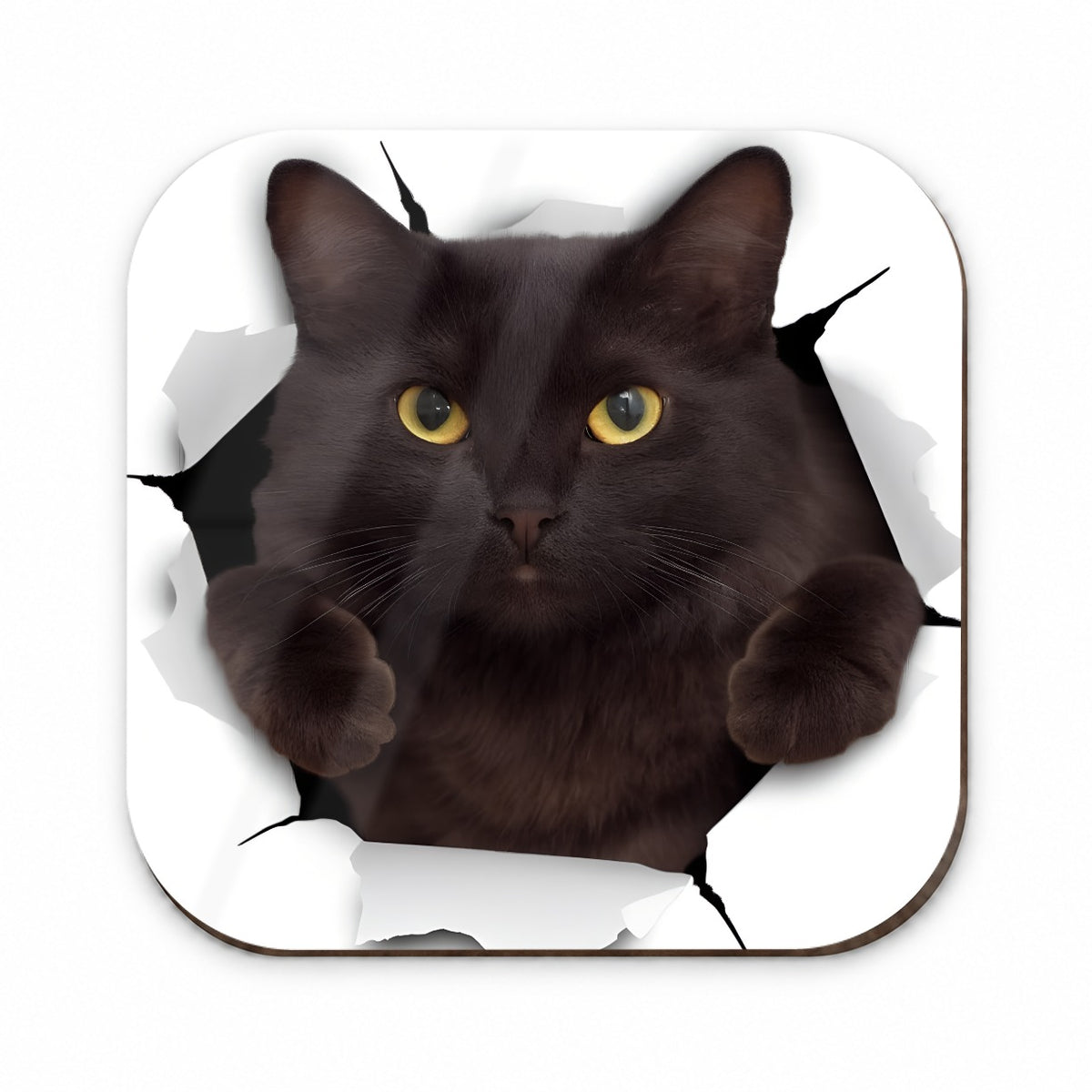 Gray Cat Breakout Fridge Magnet