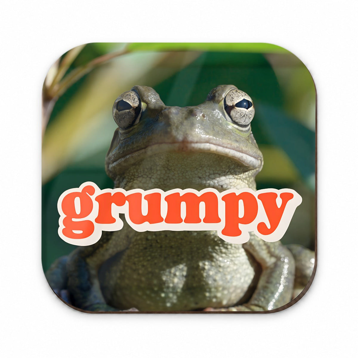 Grumpy Frog Funny Fridge Magnet