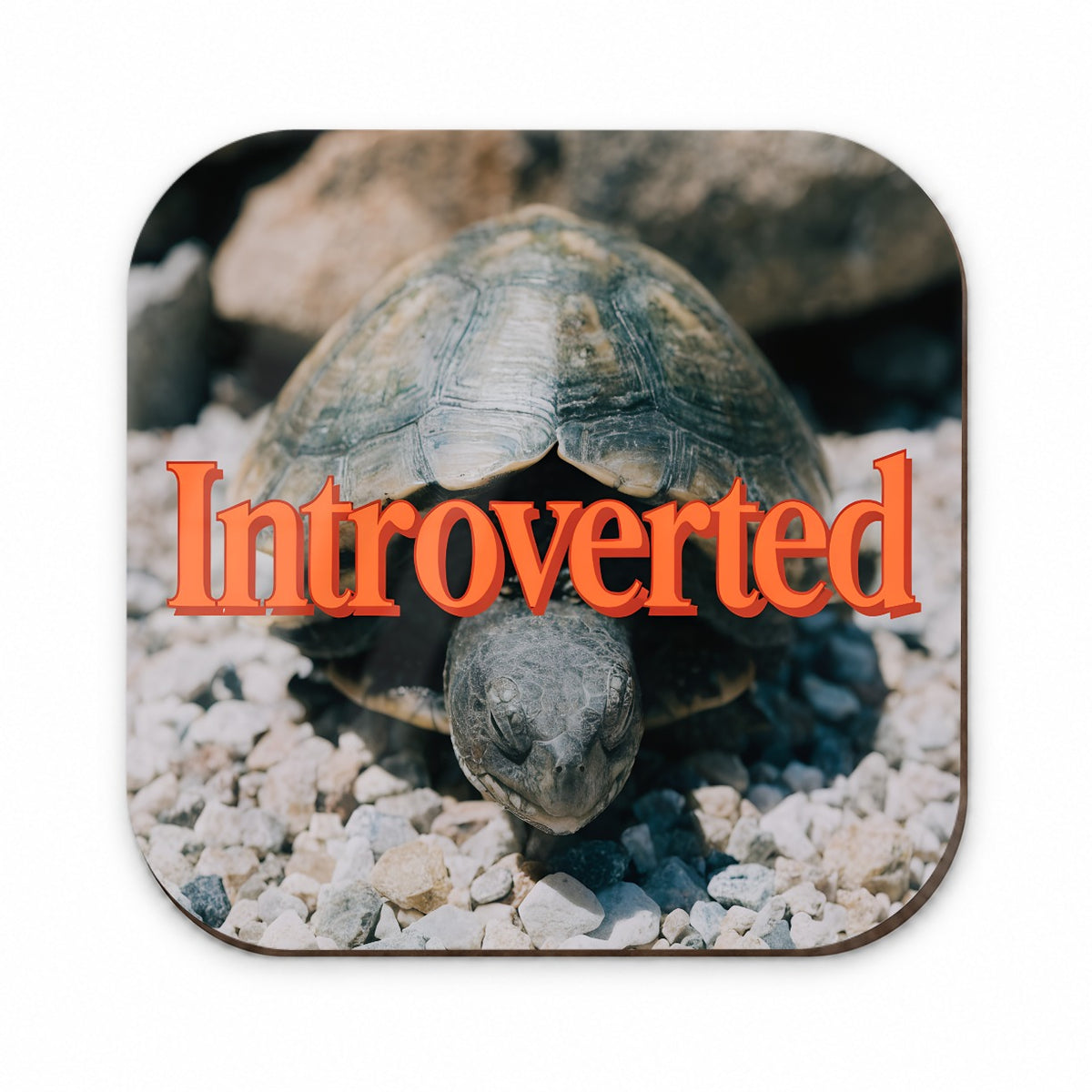 Introverted Shy Turtle Funny Fridge Magnet
