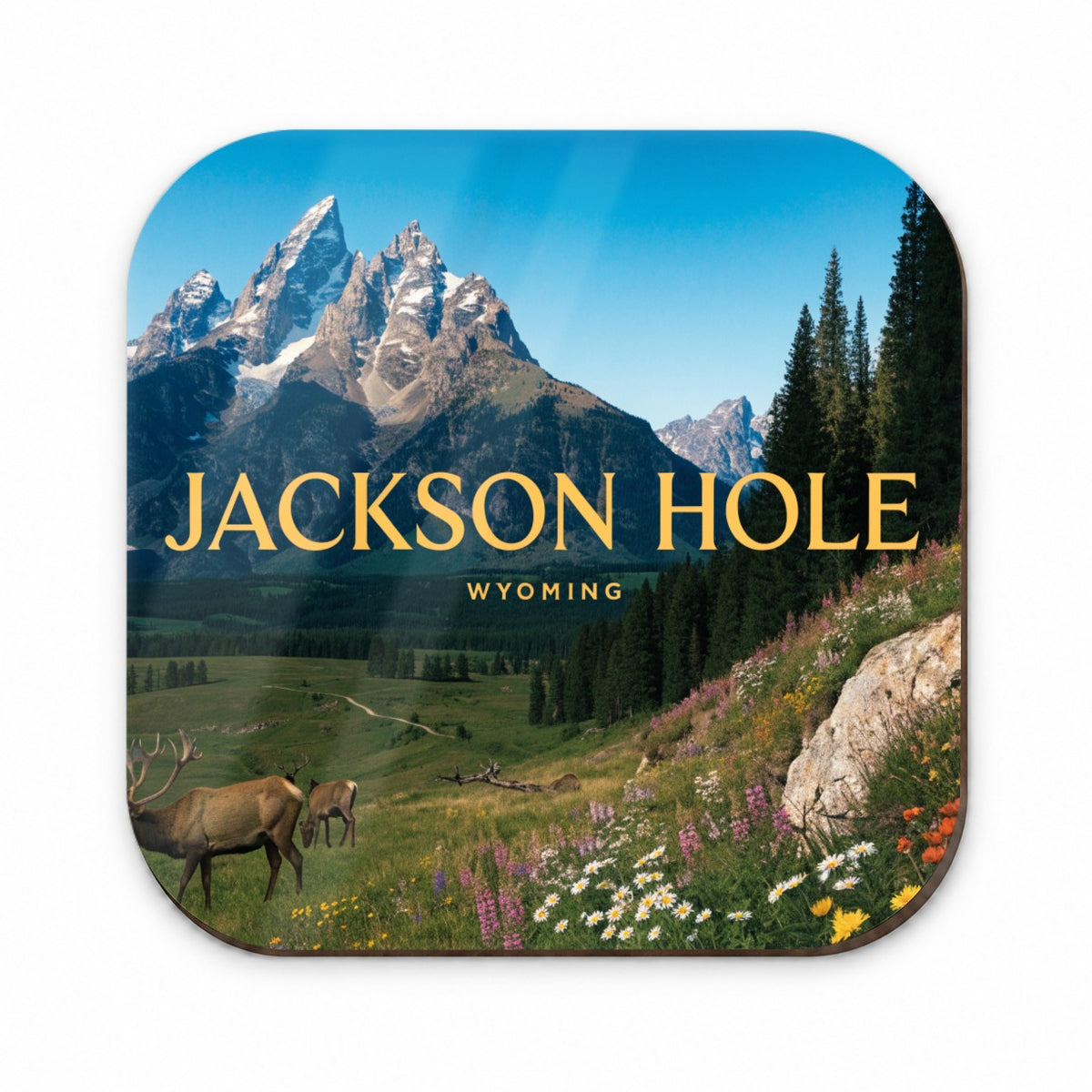 Jackson Hole Wyoming Travel Scenic Fridge Magnet