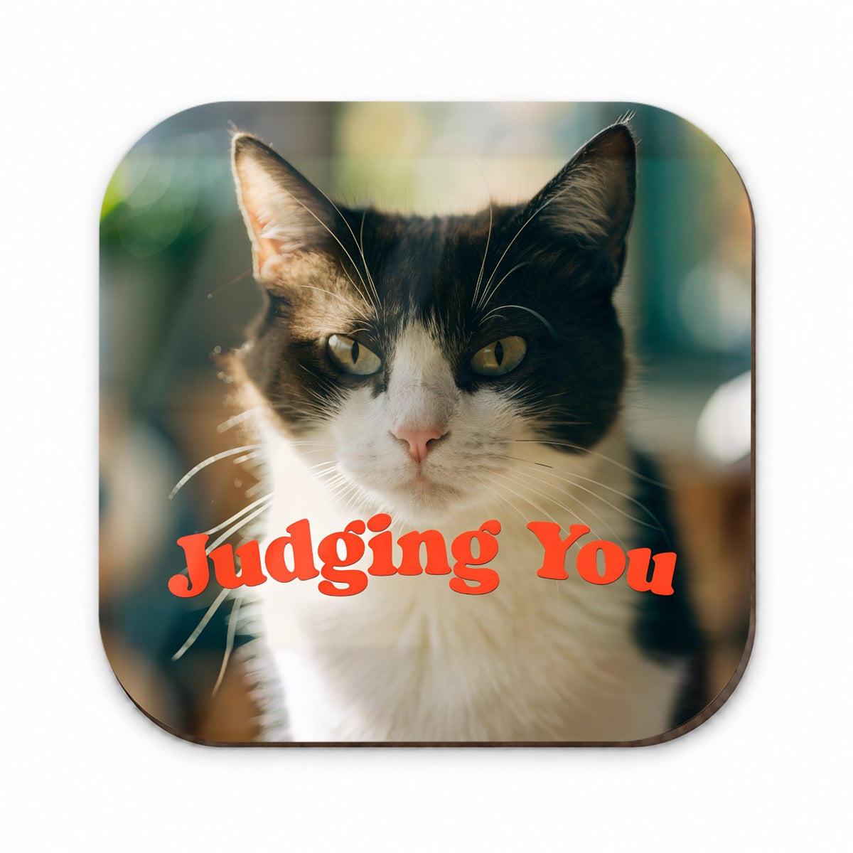 Judging You Cat Funny Fridge Magnet