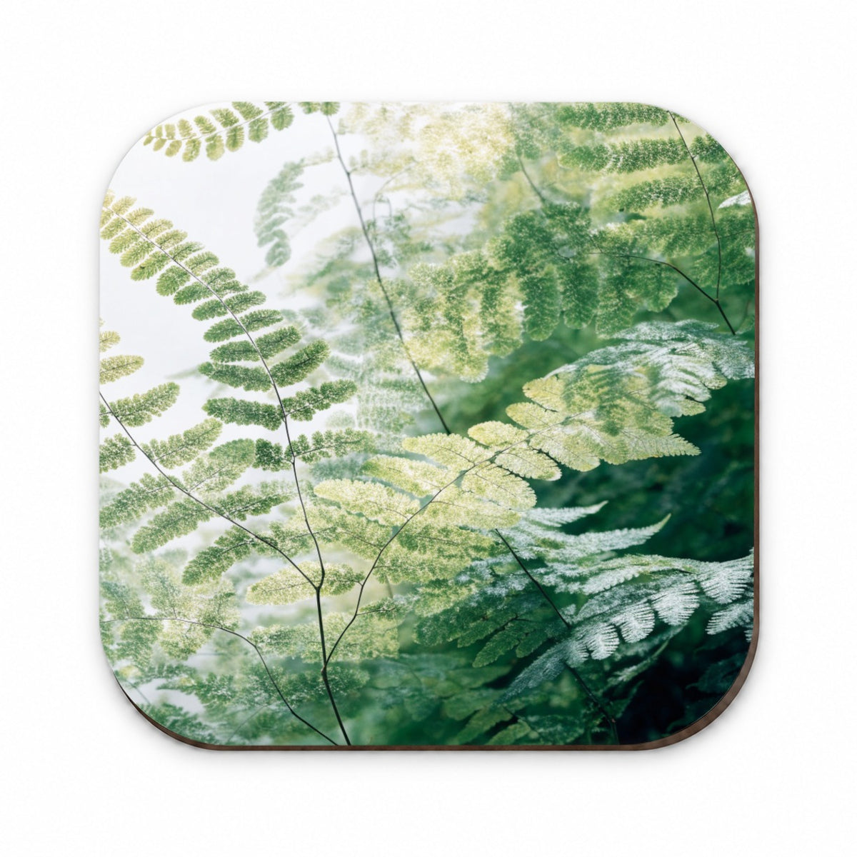 Maidenhair Fern Garden Fridge Magnet