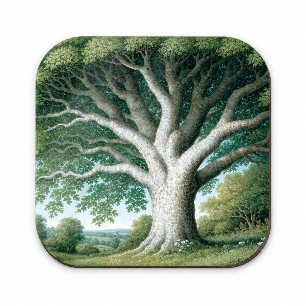 Majestic Sycamore Tree Fridge Magnet