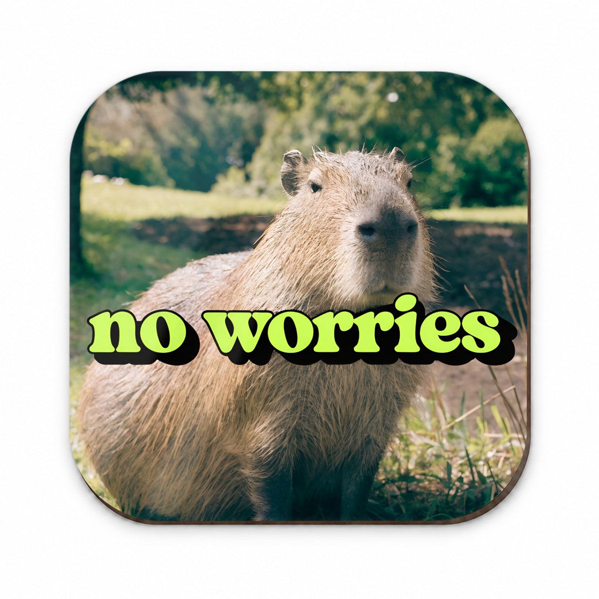 No Worries Capybara Funny Fridge Magnet