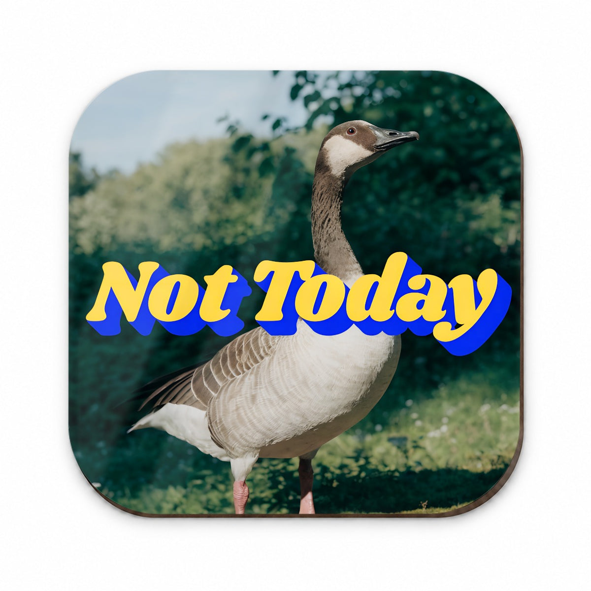 Not Today Goose Funny Fridge Magnet